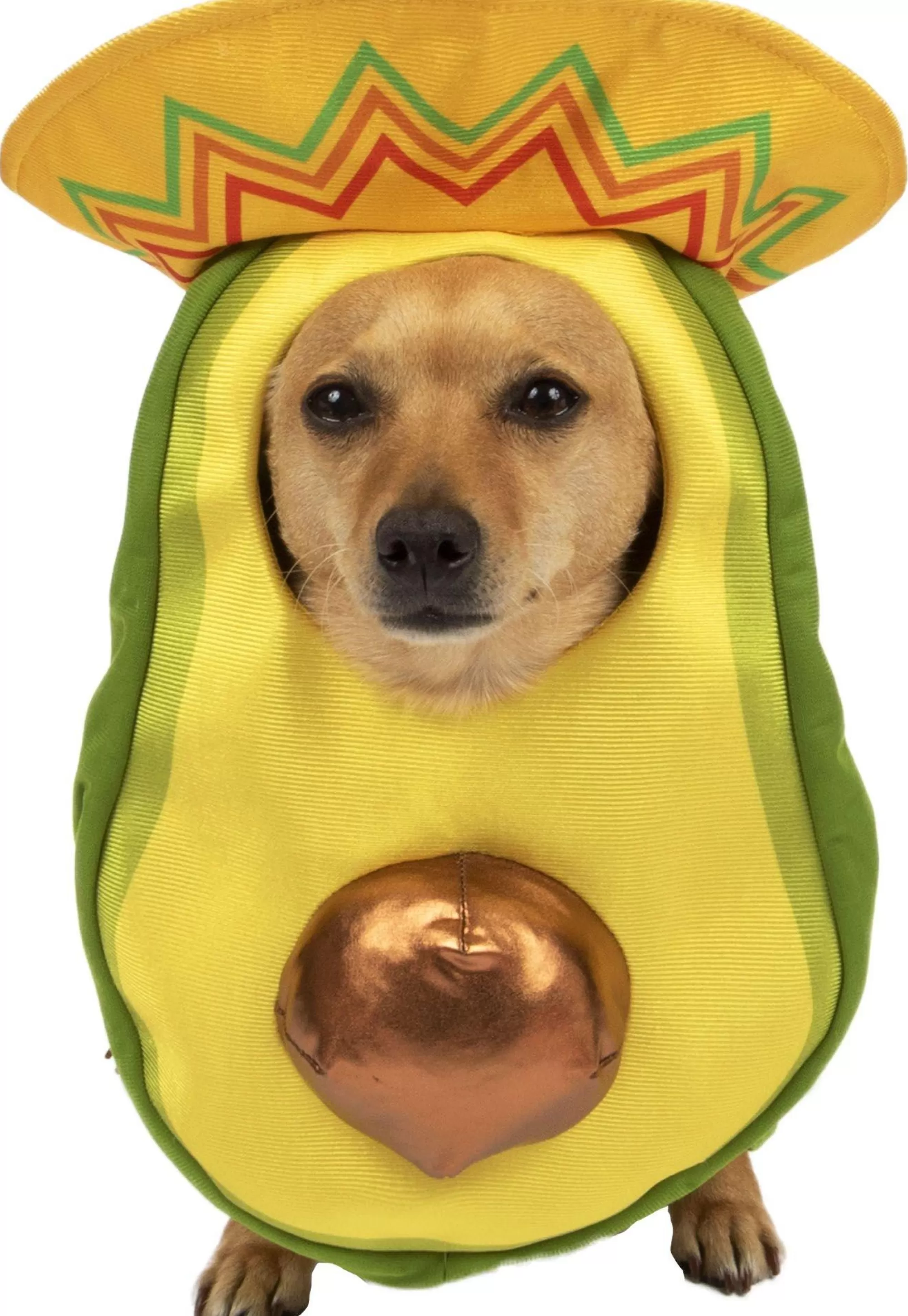 Party City Dog & Pet Costumes-Avocado Sombrero Costume For Dogs