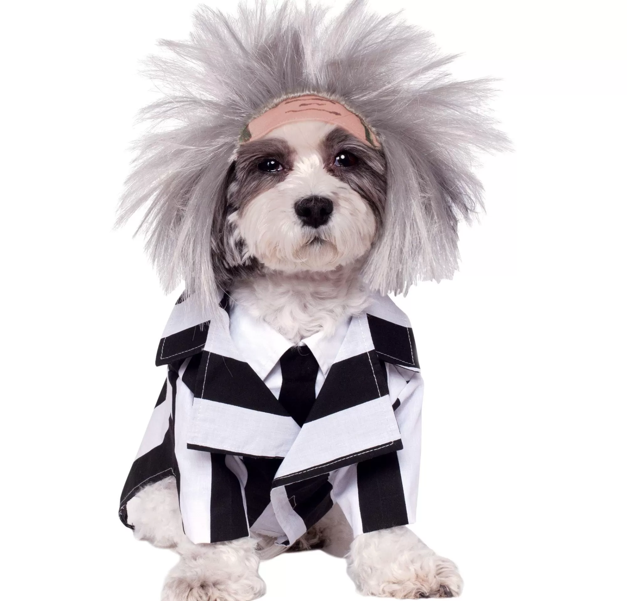 Party City Dog & Pet Costumes-Beetlejuice Dog Costume