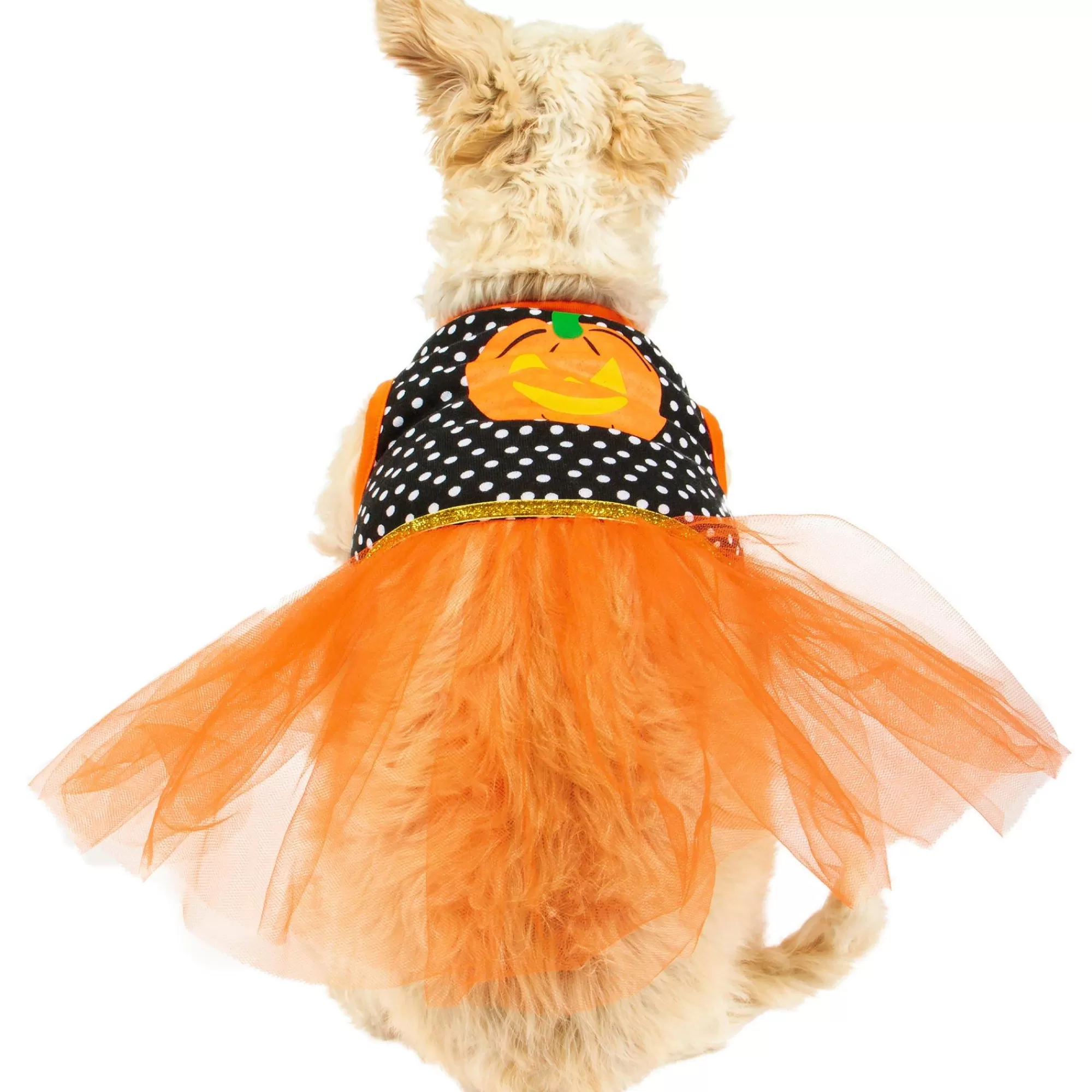 Party City Dog & Pet Costumes-Black & Orange Dot Jack-O'-Lantern Dog Tutu Dress