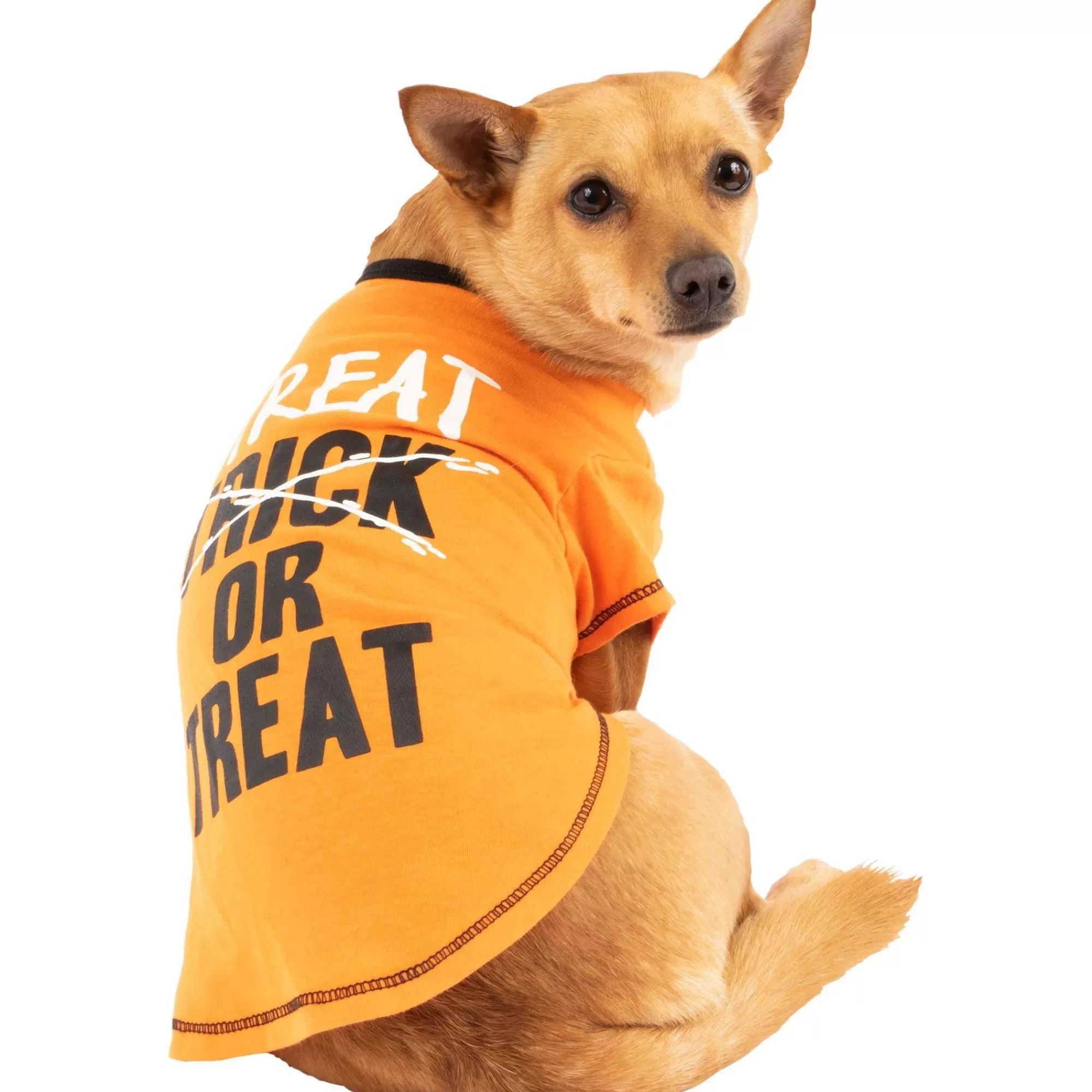 Party City Dog & Pet Costumes-Black & Orange Treat-Or-Treat Dog T-Shirt