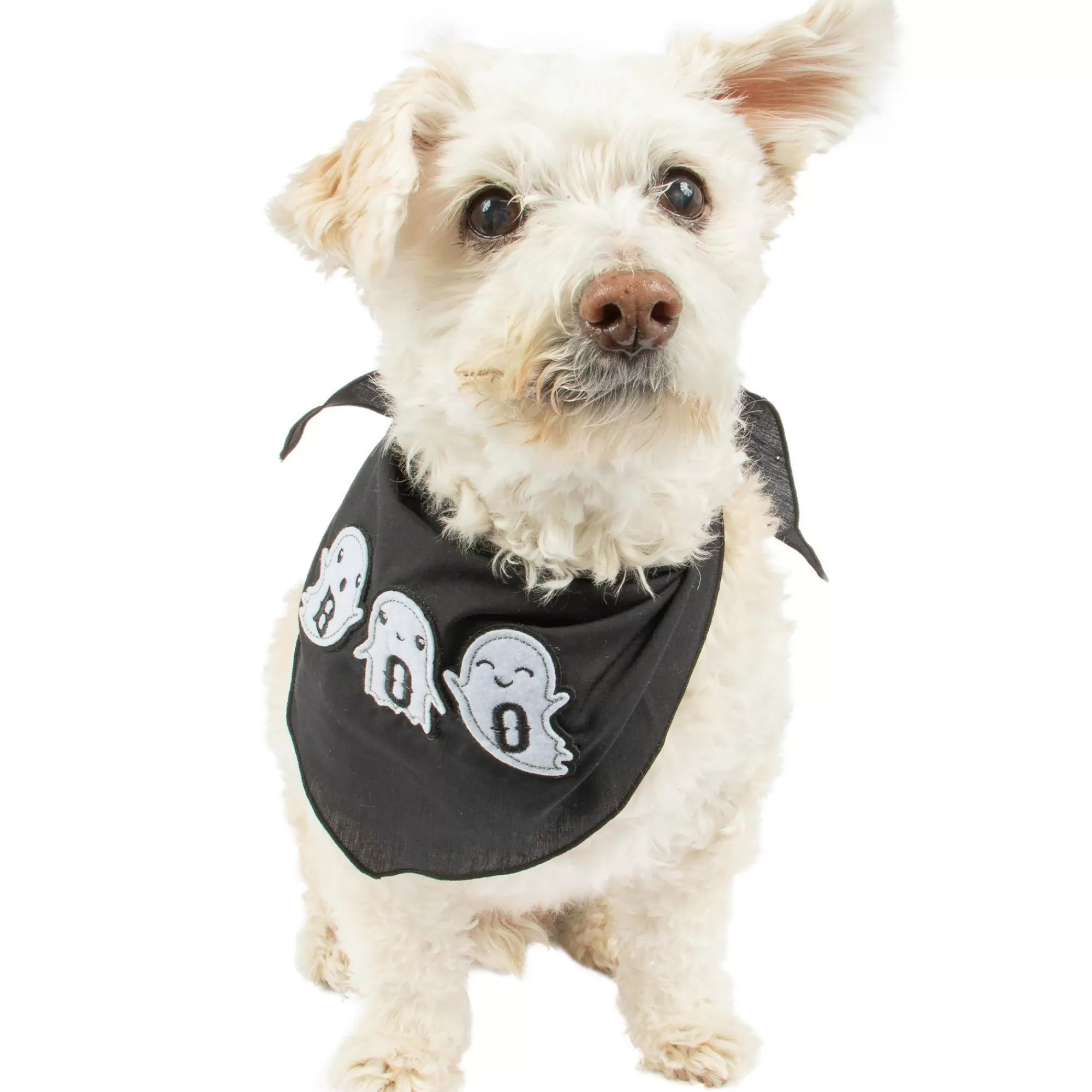 Party City Dog & Pet Costumes-Black Boo Ghost Dog Bandana