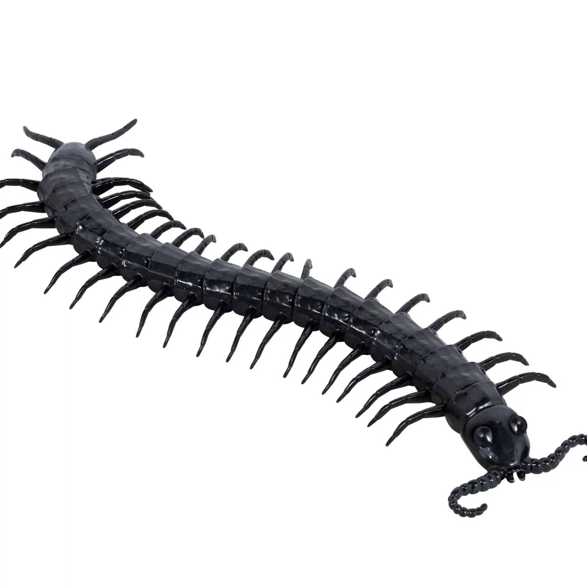 Party City Creatures | Black Centipede