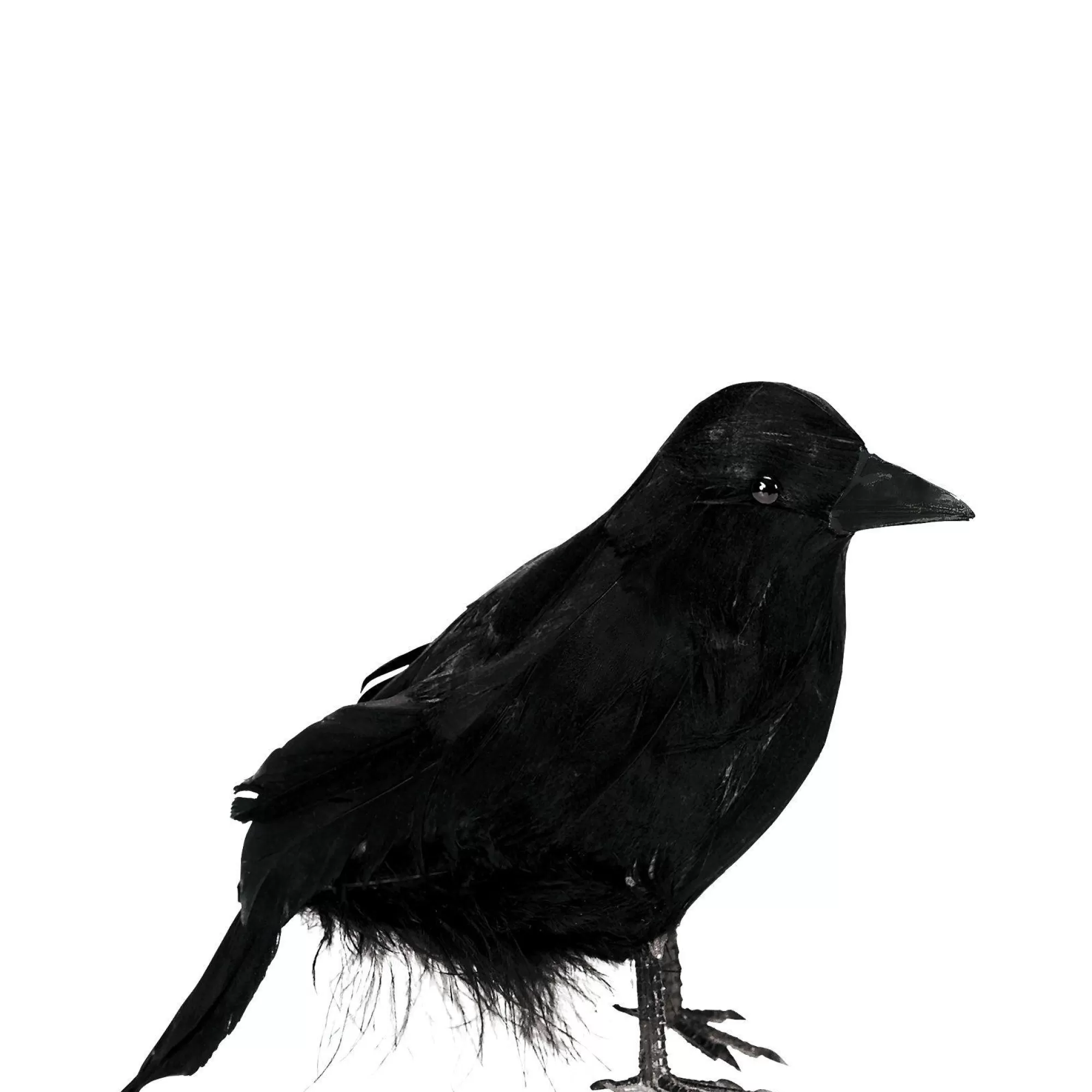 Party City Creatures | Black Raven