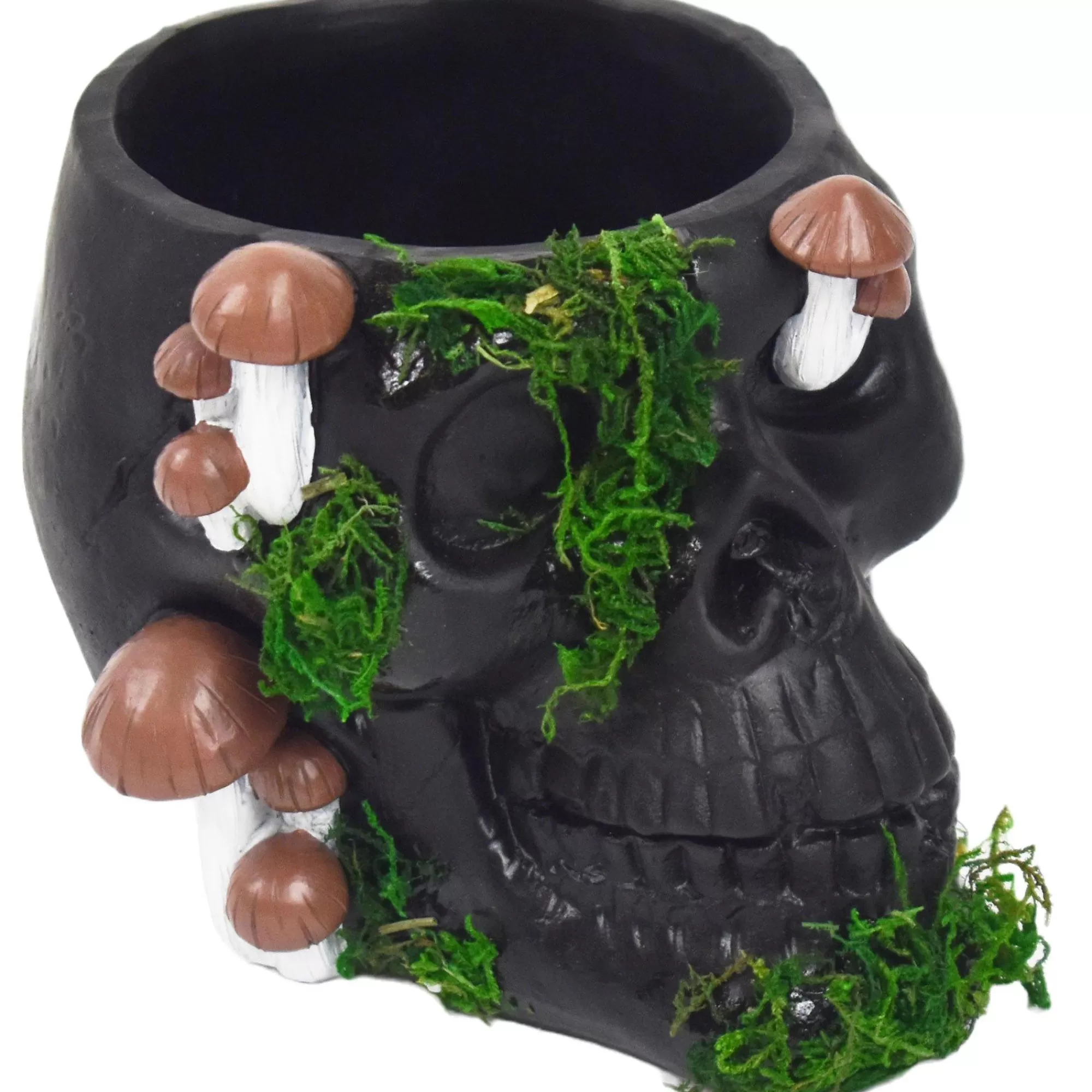 Party City Table Décor & Centerpieces | Black Resin & Moss Skull & Mushroom Planter, 7.25In