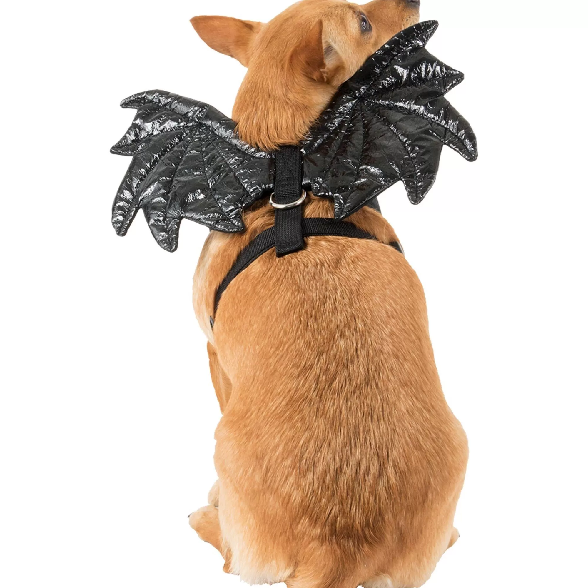 Party City Wings-Black Sparkle Bat Wings Dog Harness