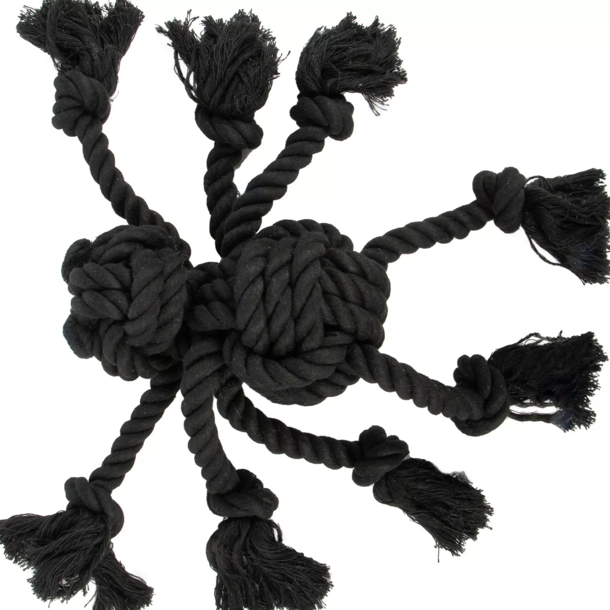 Party City Dog & Pet Costumes-Black Spider Rope Toy, 14In X 13In Halloween