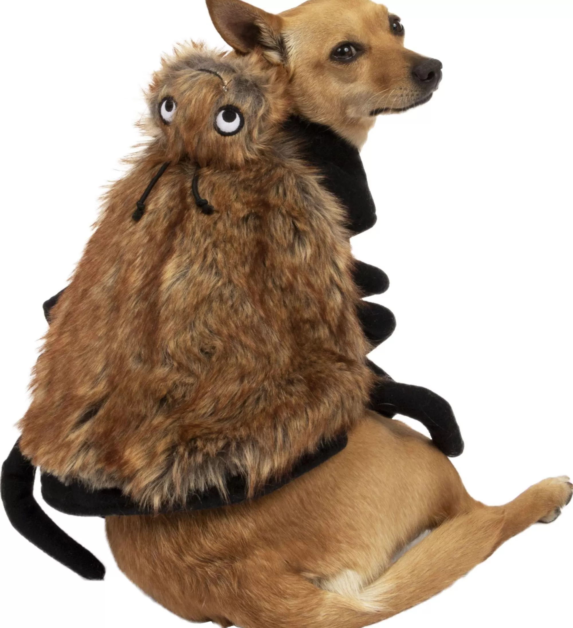 Party City Dog & Pet Costumes-Brown Fuzzy Spider Halloween Costume For Dogs