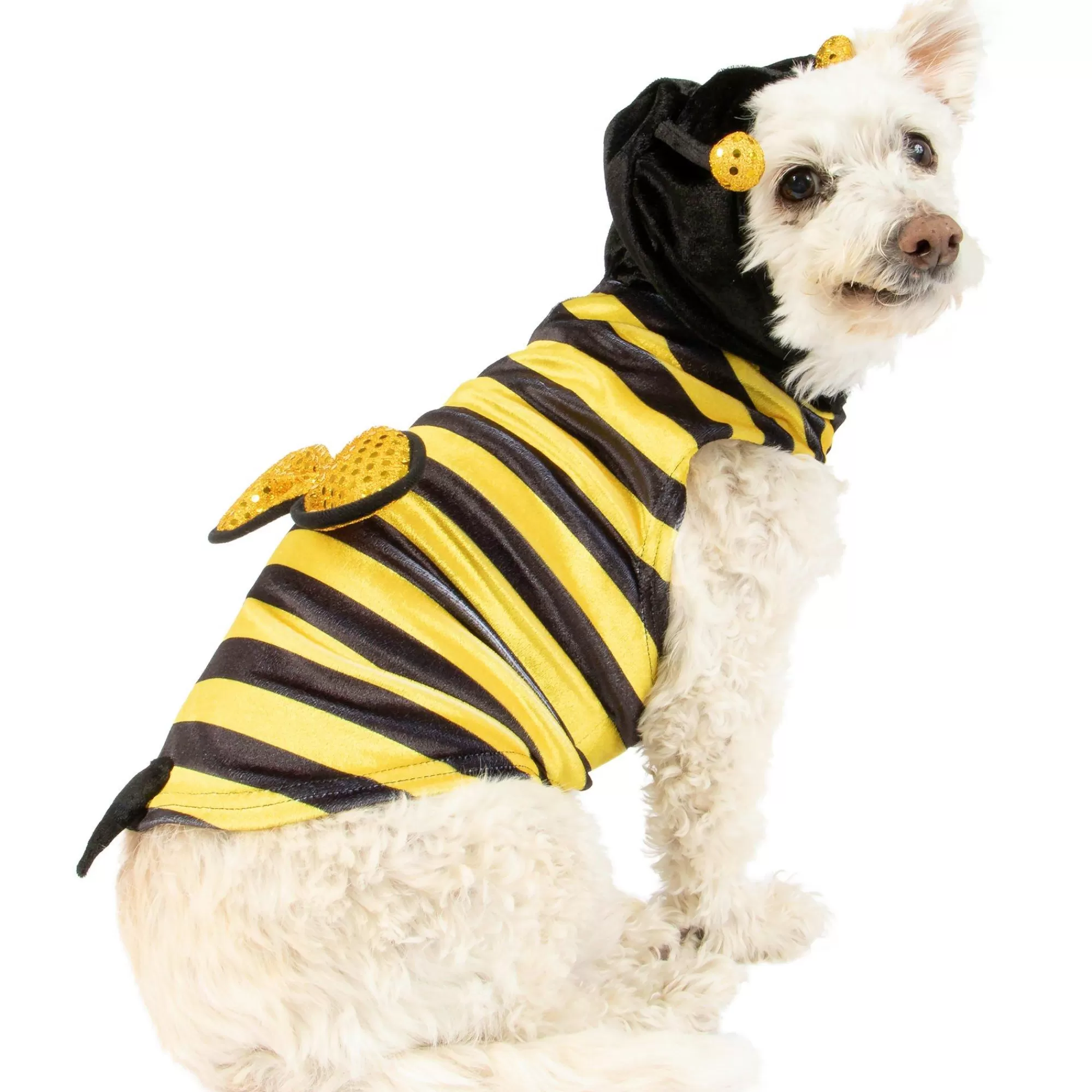 Party City Dog & Pet Costumes-Bumblebee Dog Costume