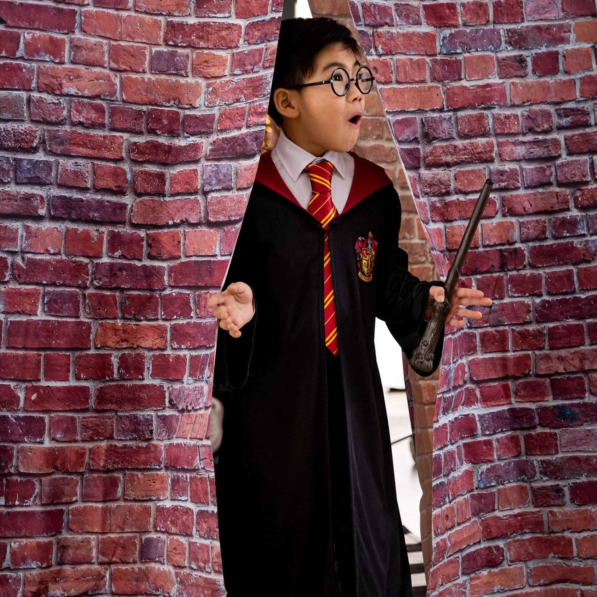 Party City Capes, Robes | Child Gryffindor Robe - Harry Potter