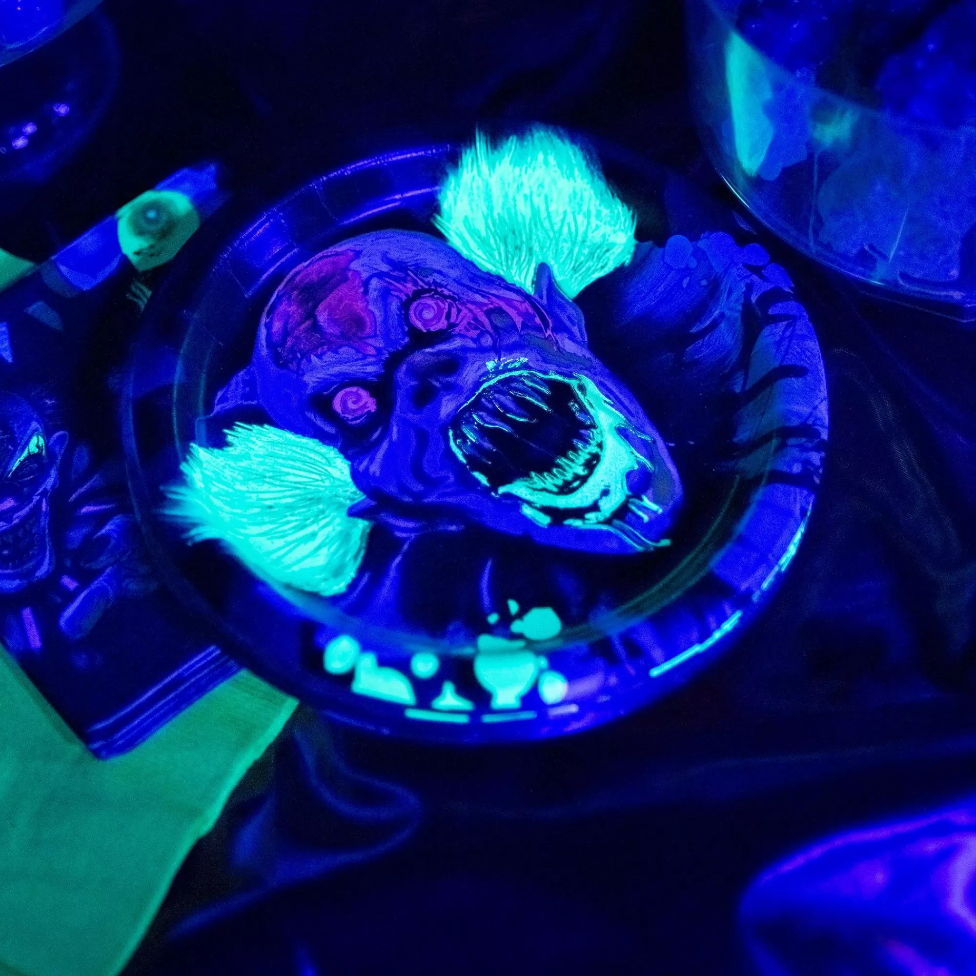 Party City Creepy Carnival | Creepy Carnival Black Light Reactive Paper Dessert Plates, 6.75In, 20Ct