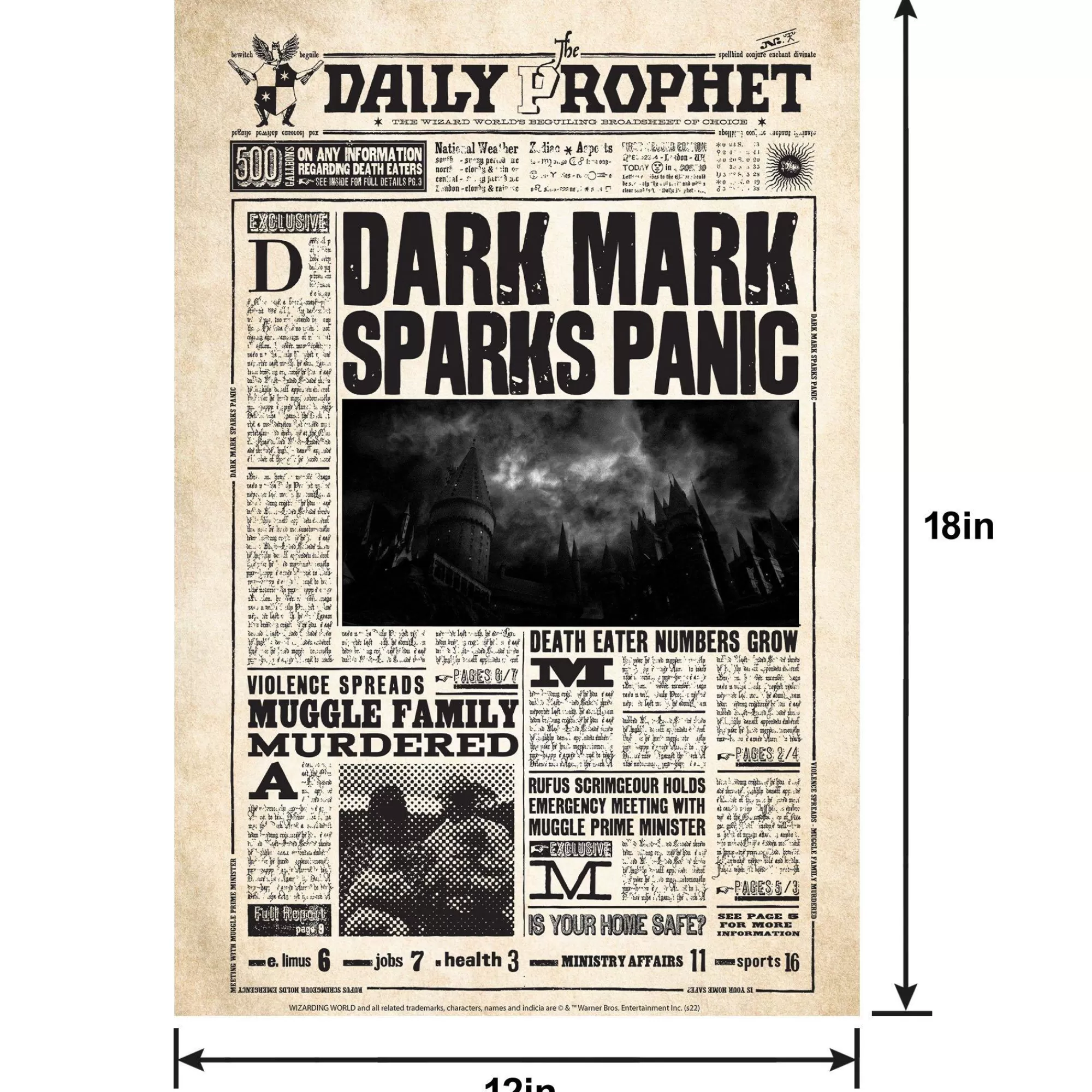 Party City Window & Wall Décor | Daily Prophet Lenticular Plastic Cutout, 12In X 18In - Harry Potter