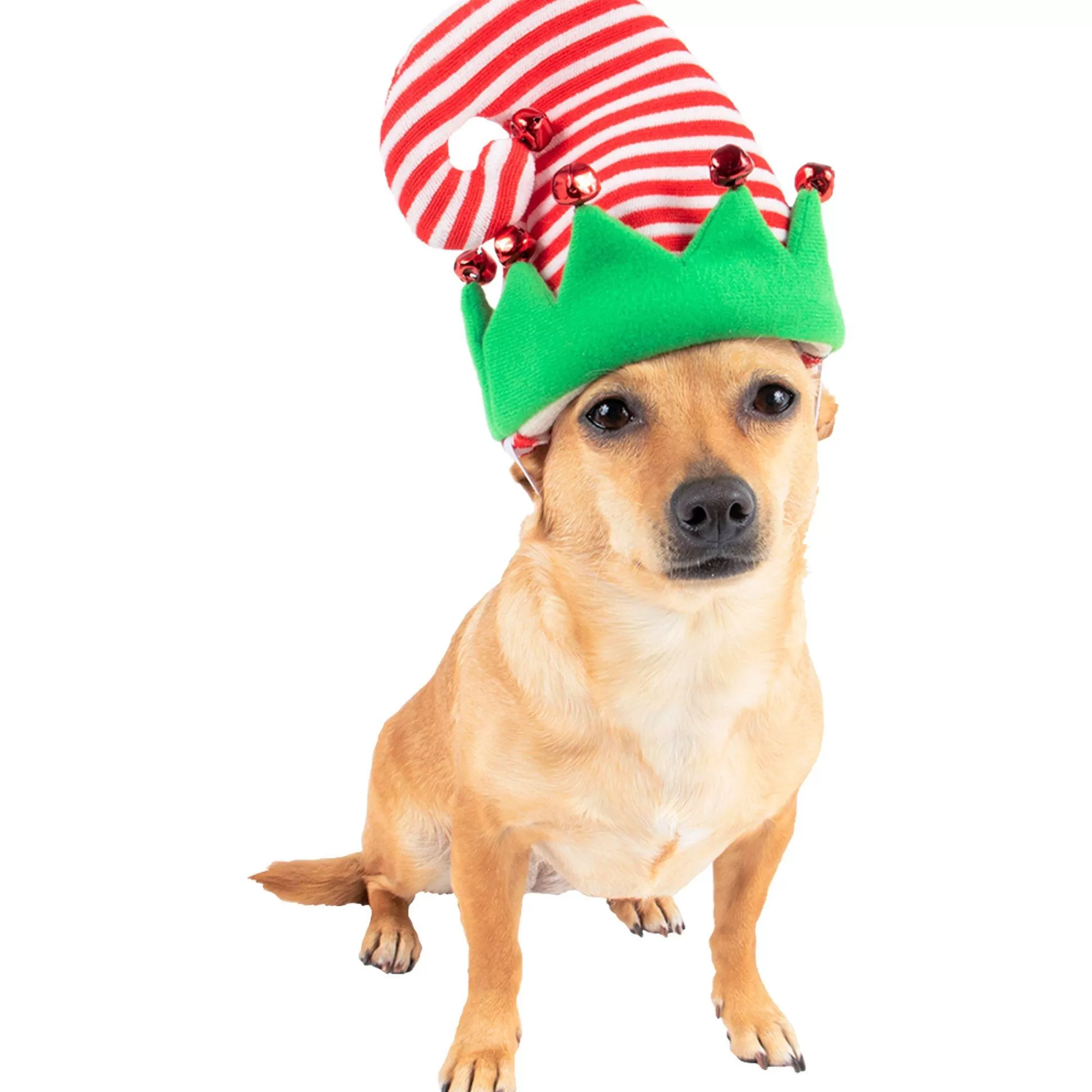 Party City Dog & Pet Costumes-Elf Dog Hat