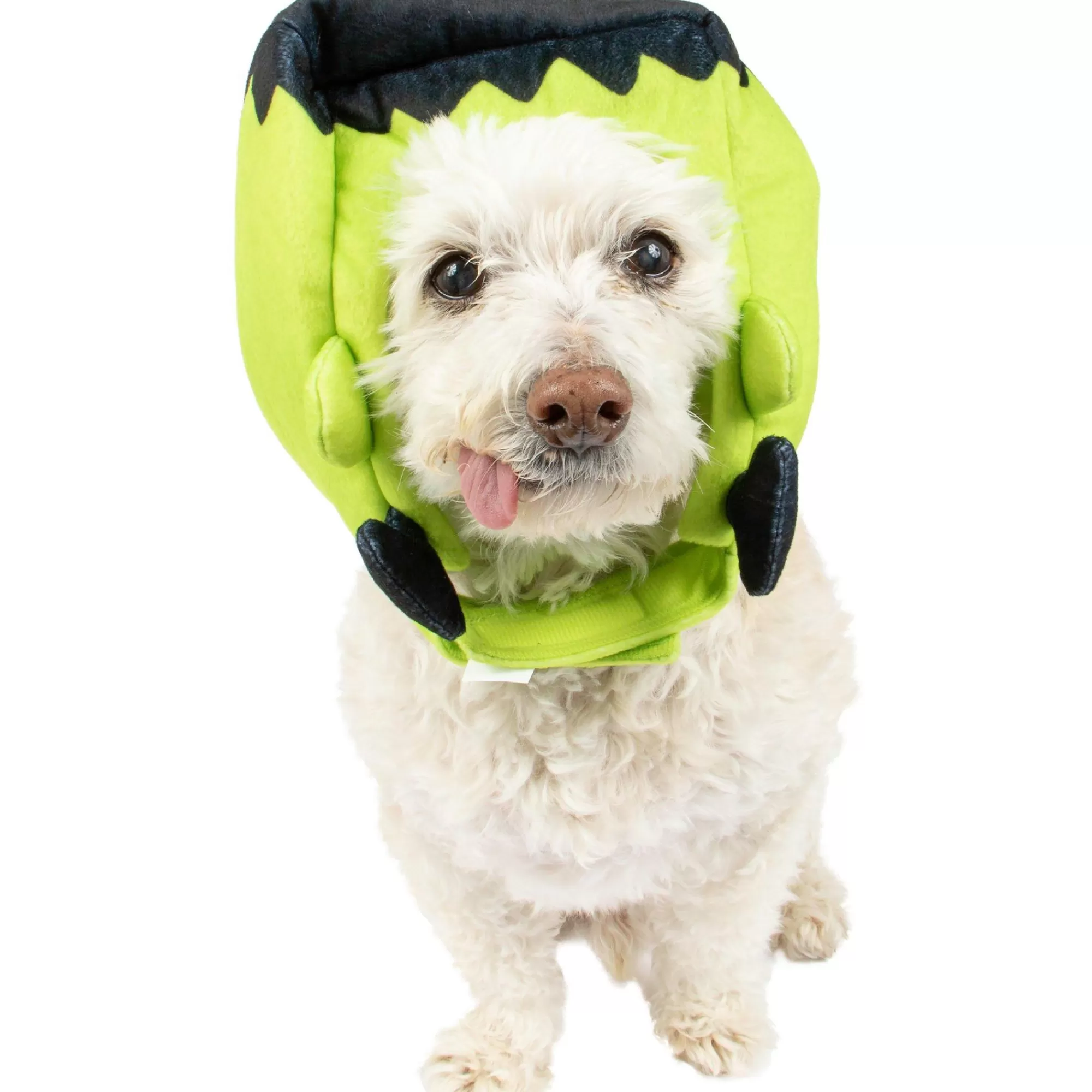 Party City Dog & Pet Costumes-Frankenstein's Monster Dog Hat