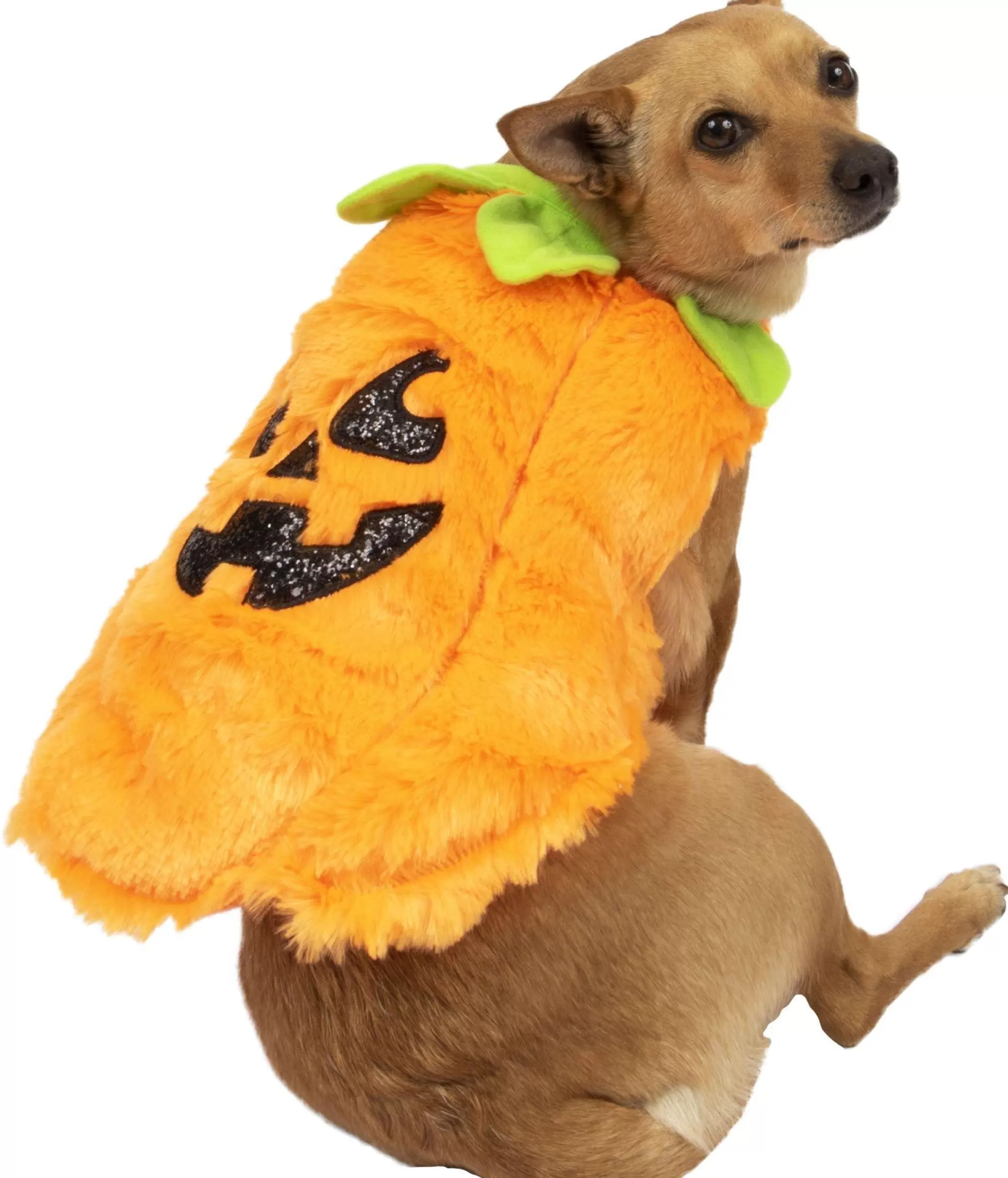 Party City Dog & Pet Costumes-Fuzzy Halloween Pumpkin Costume For Dogs