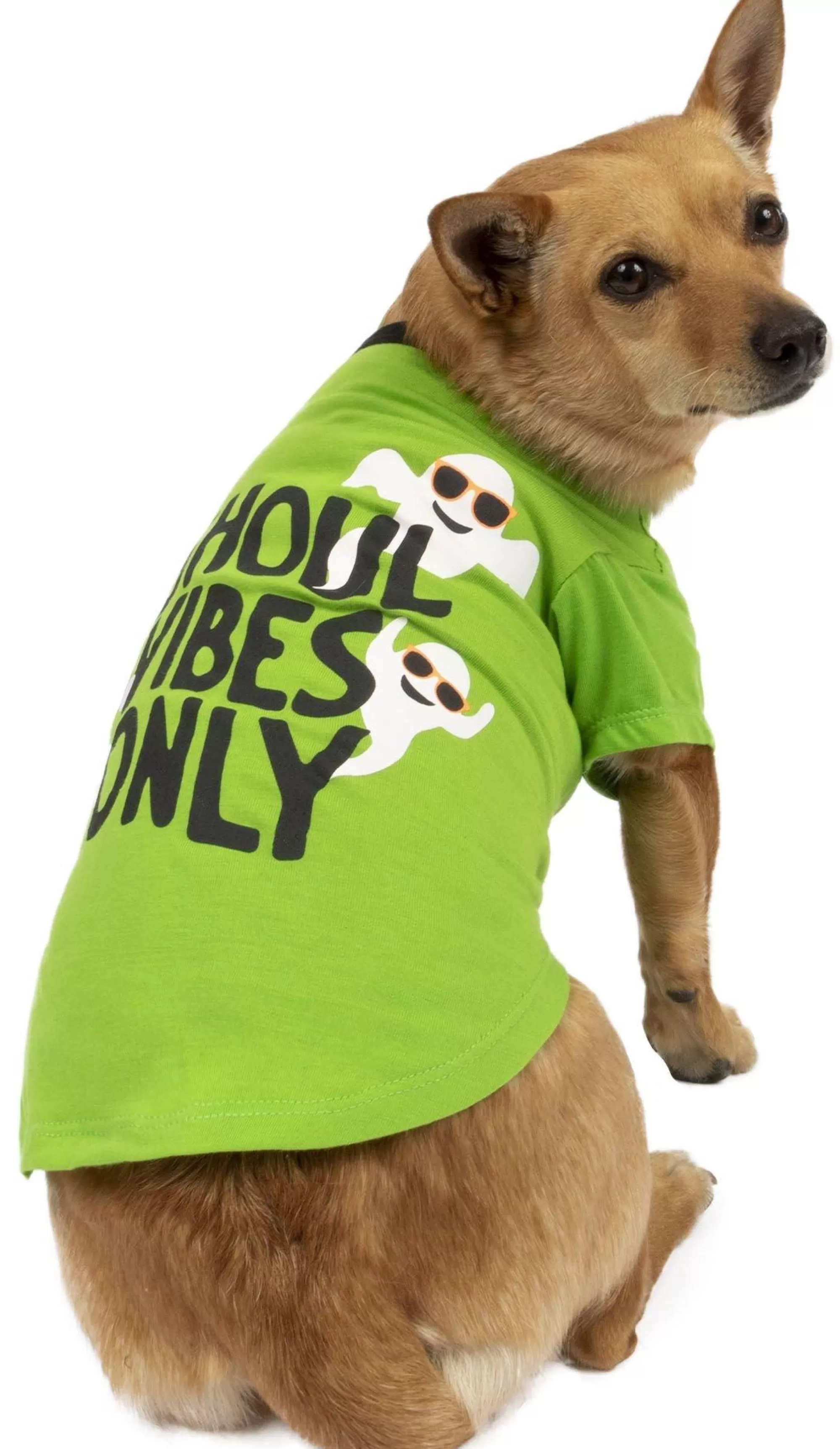 Party City Dog & Pet Costumes-Ghoul Vibes Only Halloween T-Shirt For Dogs