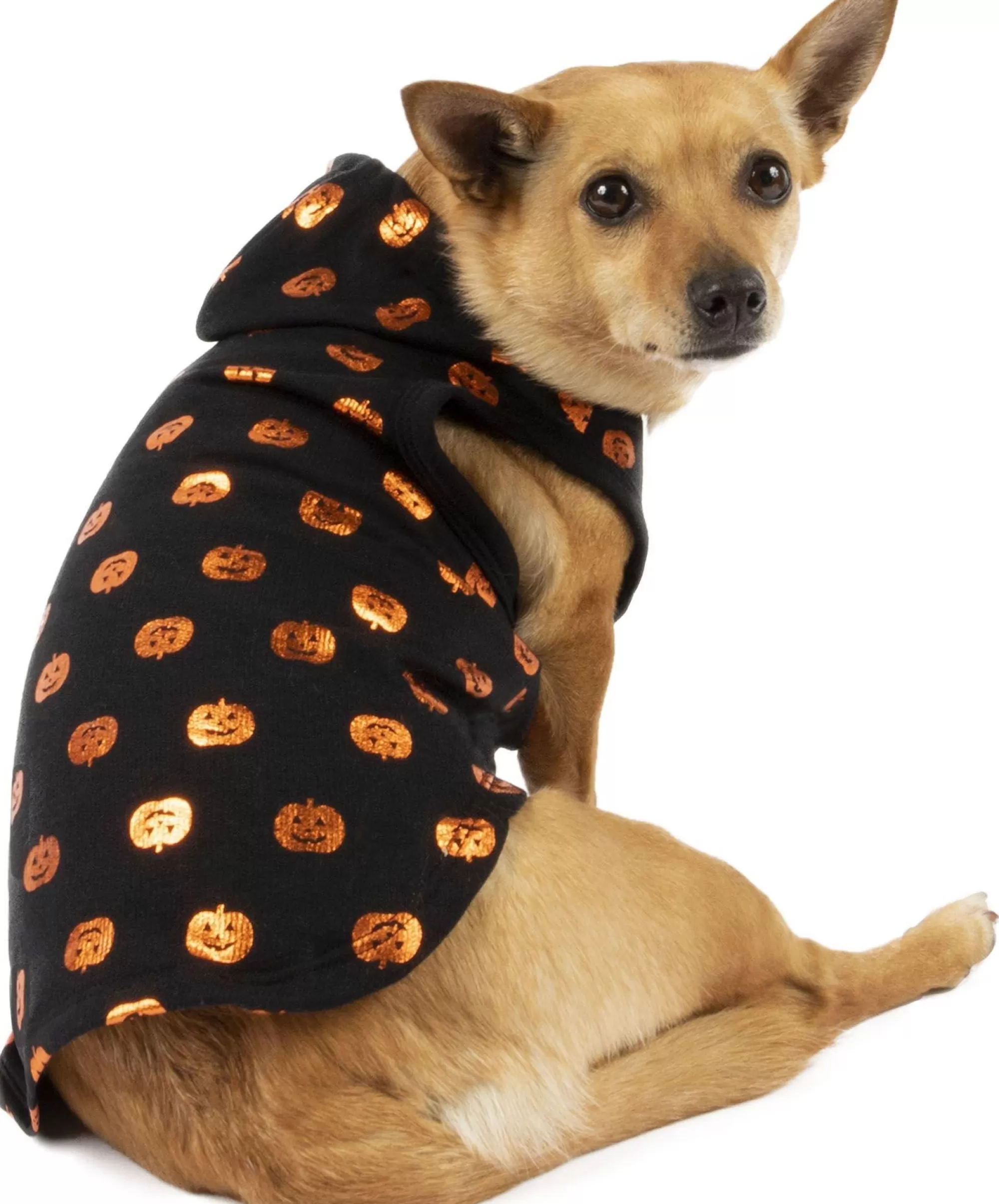 Party City Dog & Pet Costumes-Glowing Pumpkins Halloween Hoodie For Dogs