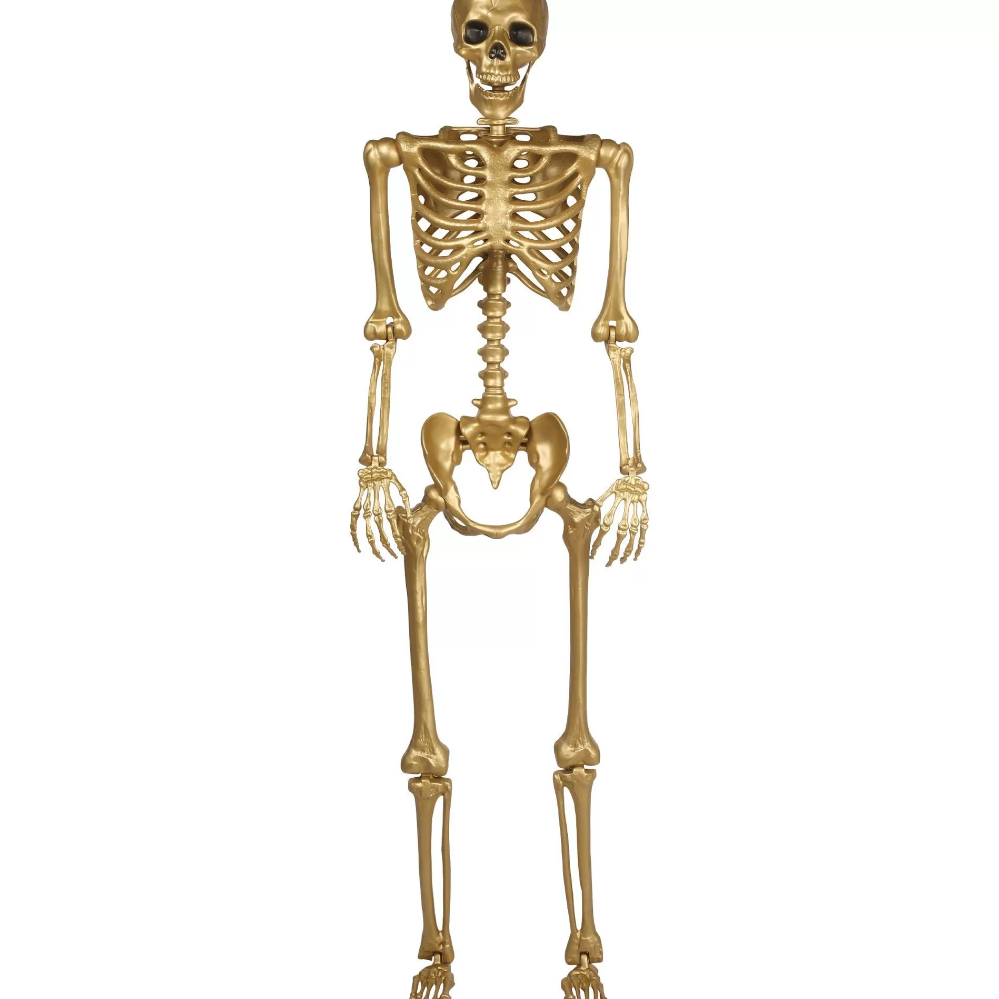 Party City Skeletons | Gold Life-Size Poseable Skeleton, 5Ft