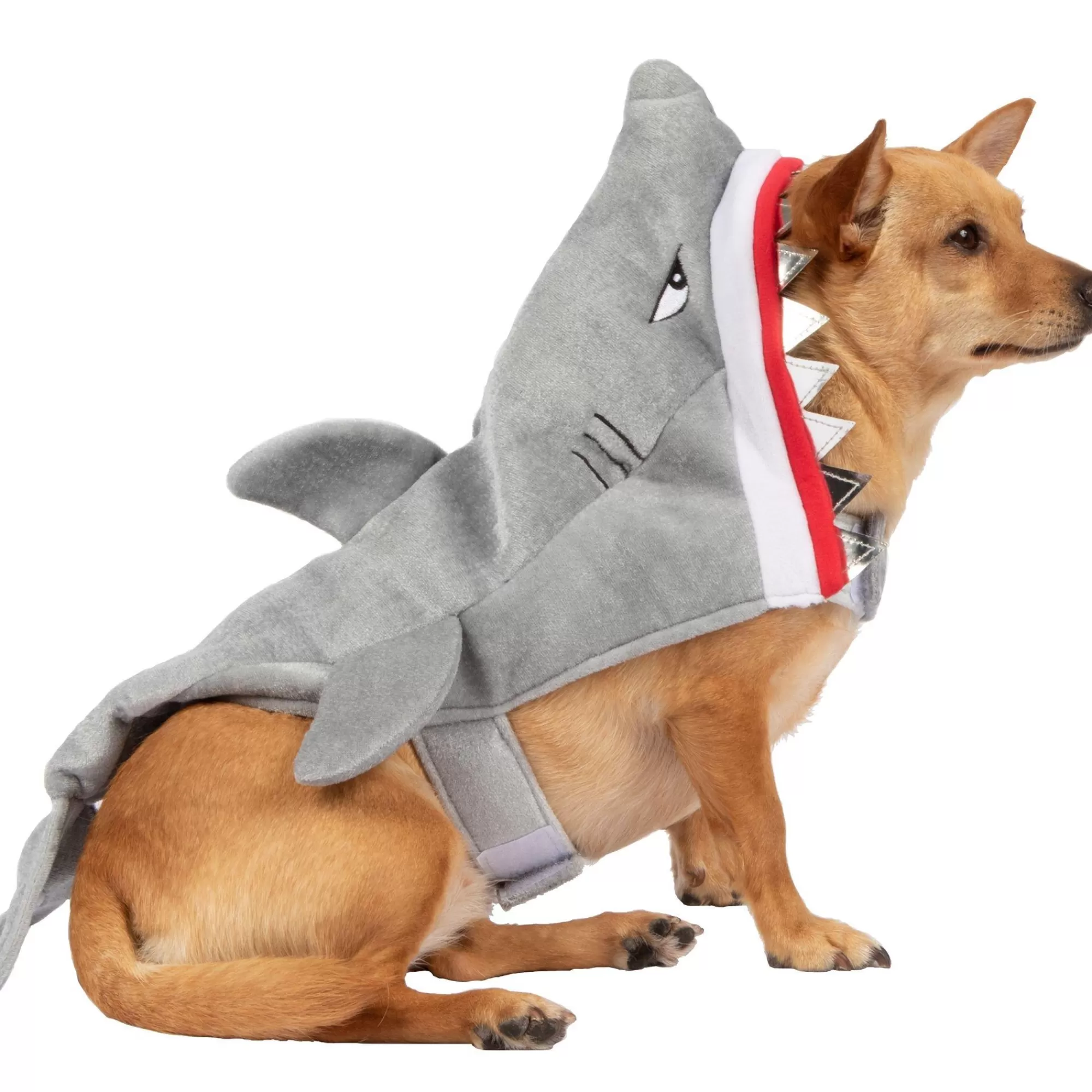 Party City Dog & Pet Costumes-Grumpy Shark Dog Costume