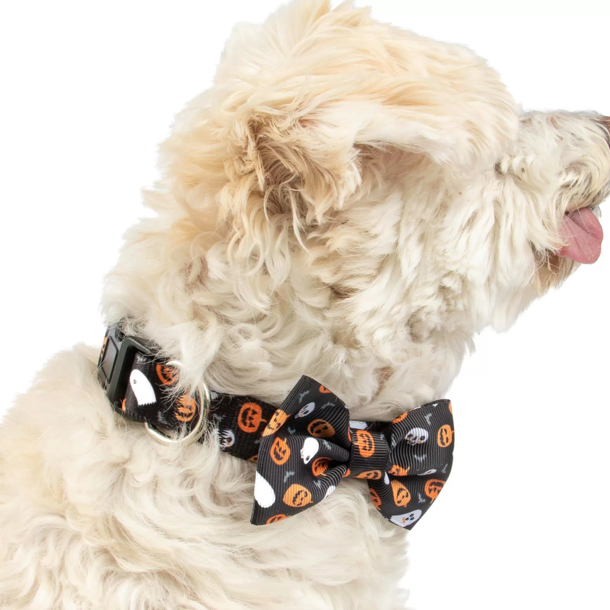 Party City Dog & Pet Costumes-Halloween Icons Bow Tie Dog Collar