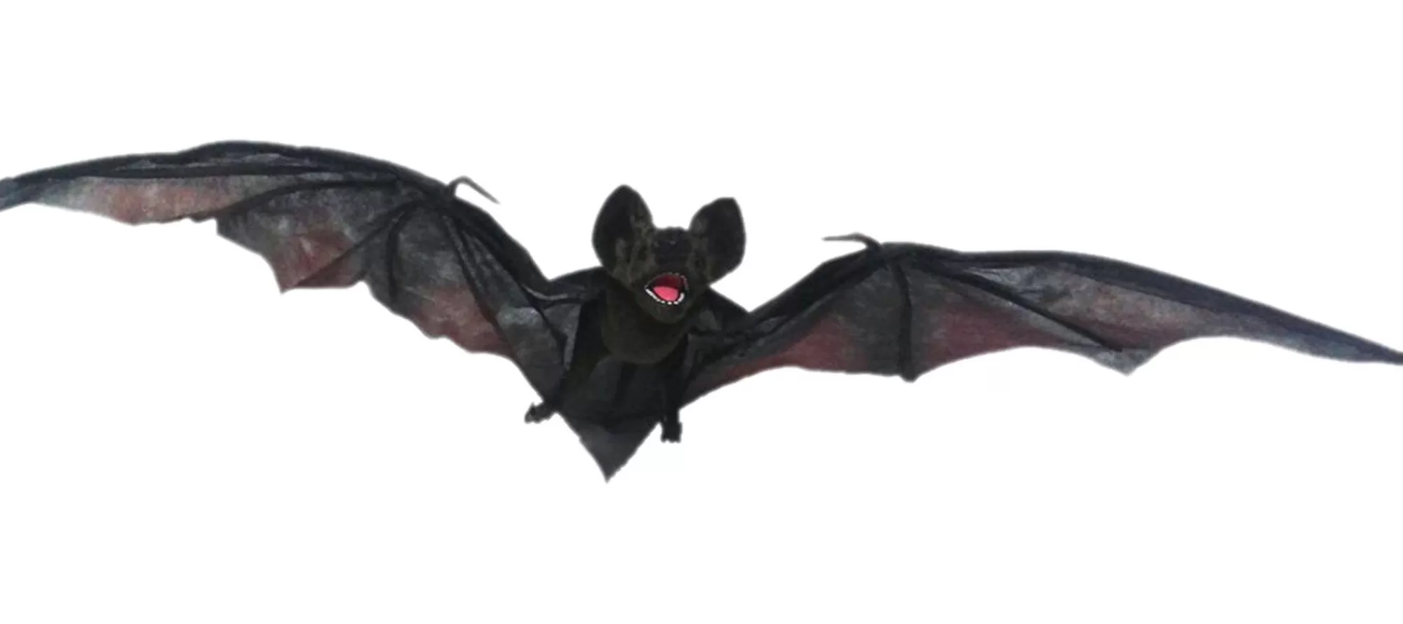 Party City Creatures | Hanging Vampire Bat