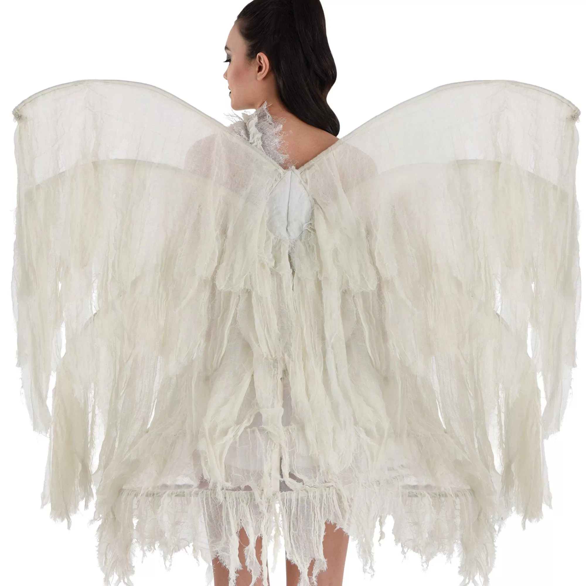 Party City Wings-Haunted Distressed Wings