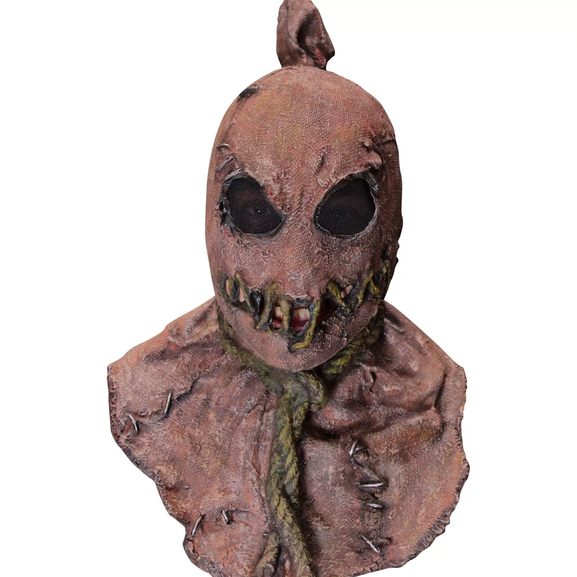 Party City Scary-Horror Fields Scarecrow Mask