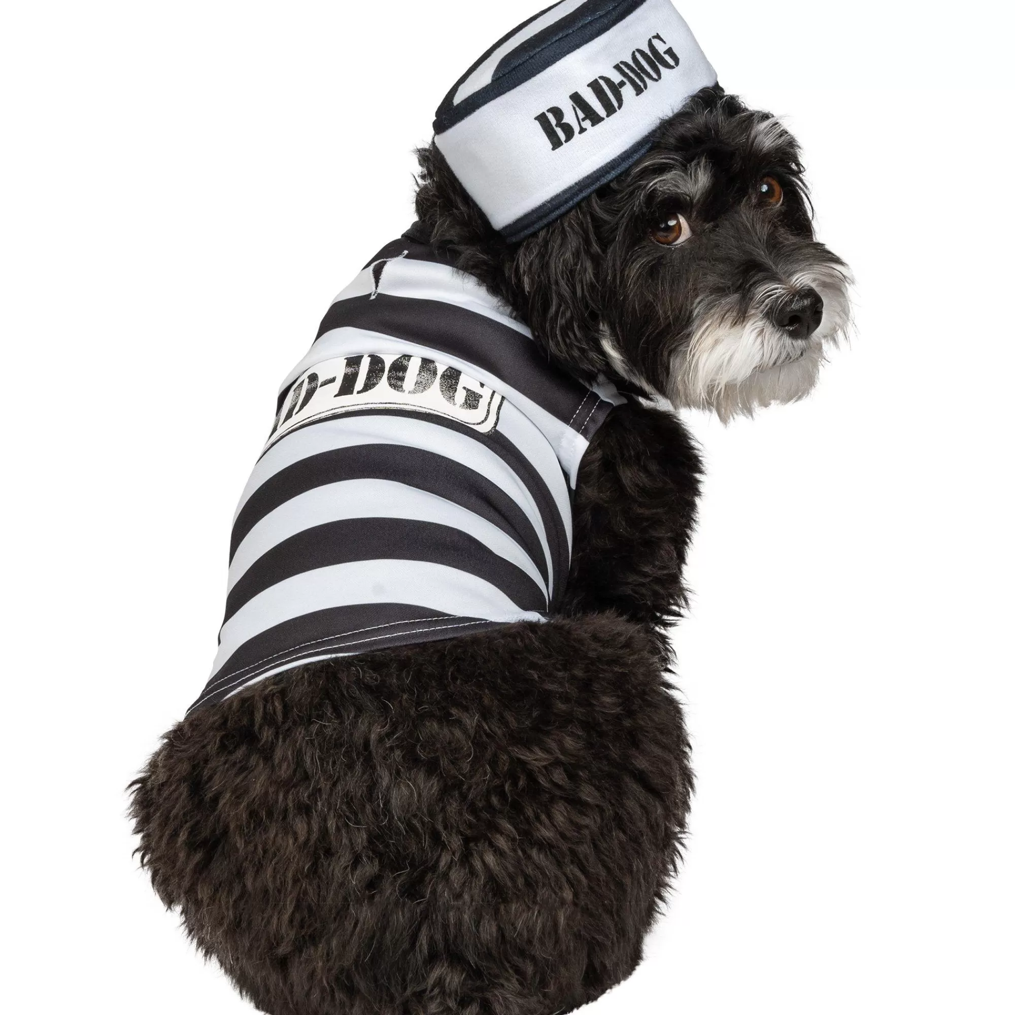 Party City Dog & Pet Costumes-Jailbird Dog Costume