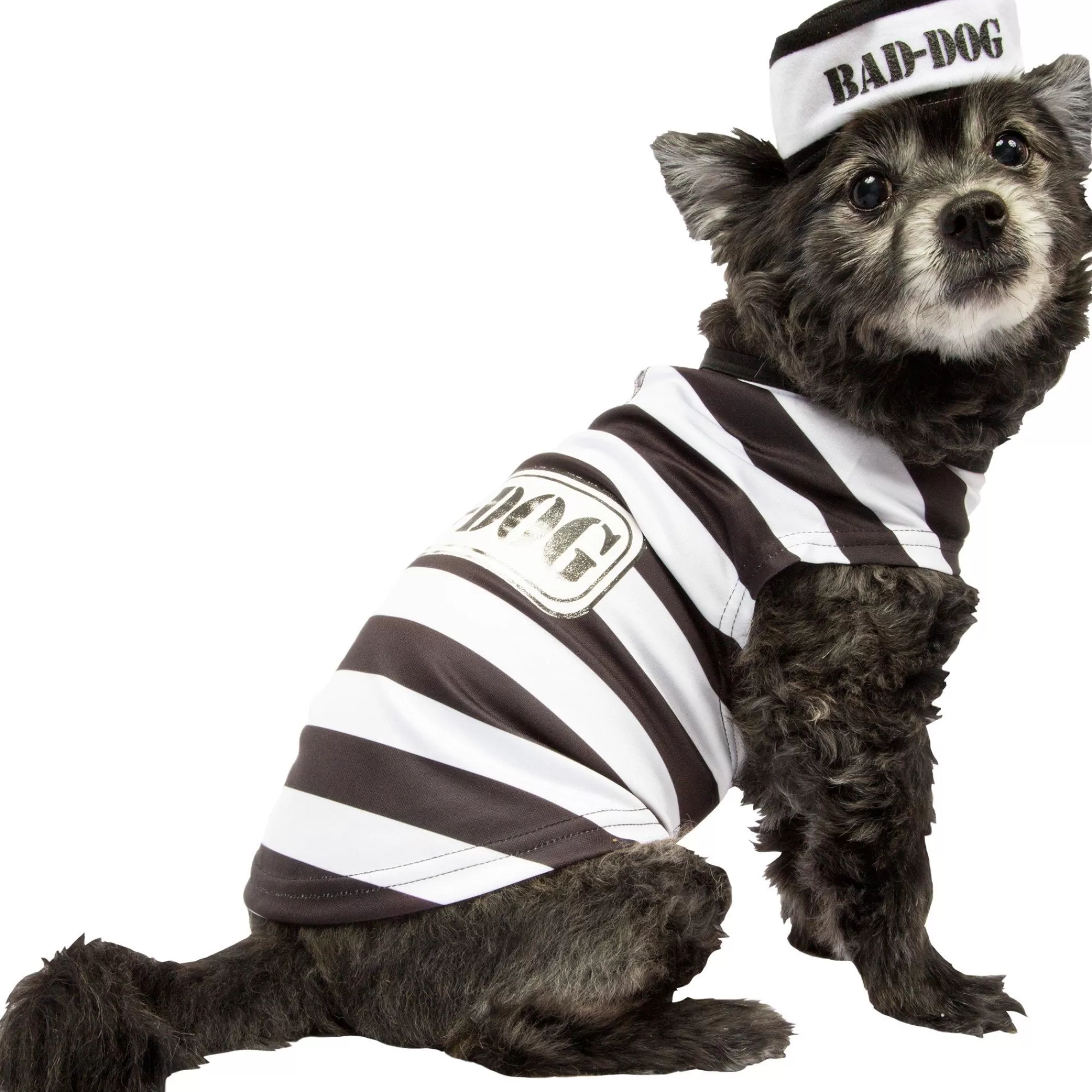 Party City Dog & Pet Costumes-Jailbird Dog Costume