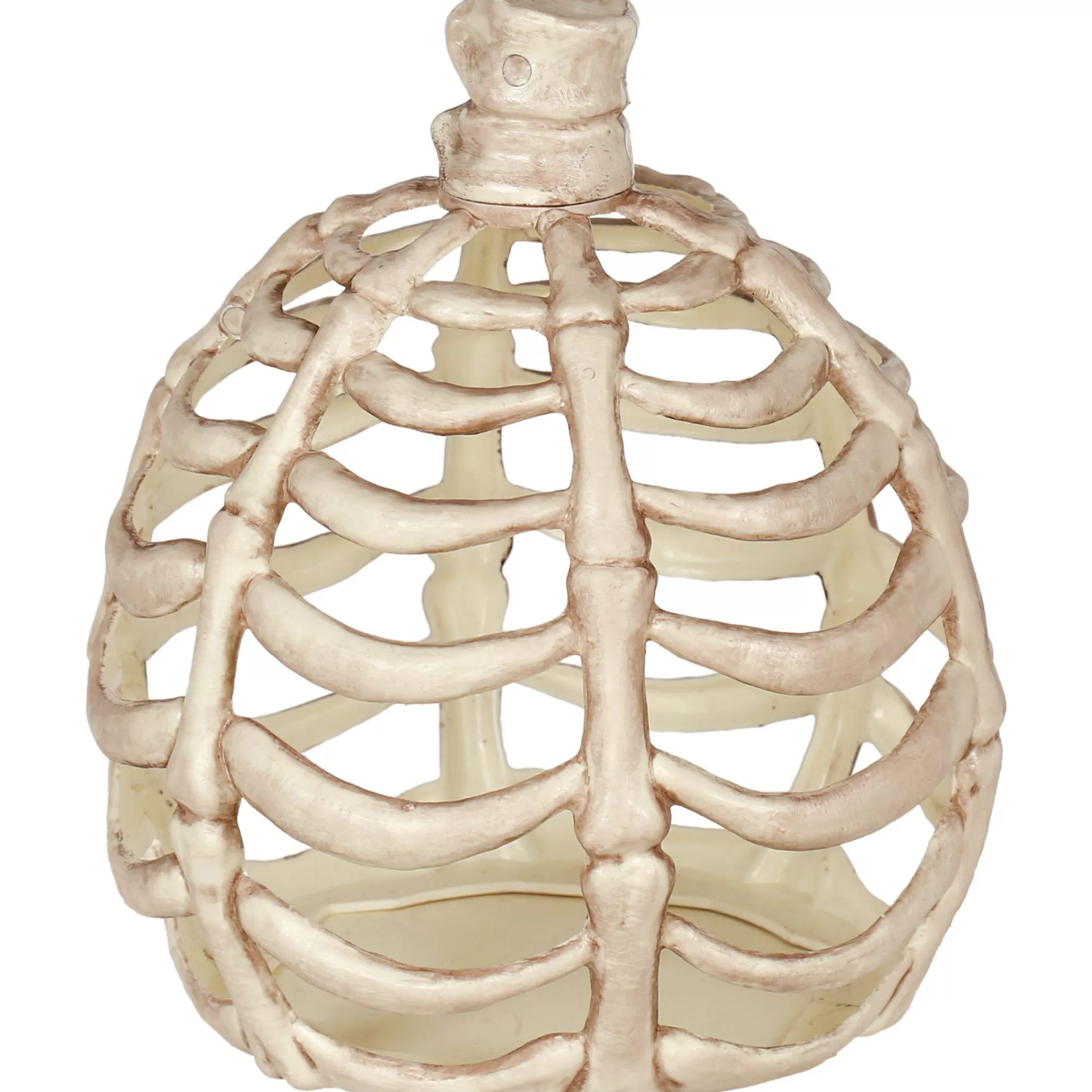 Party City Skeletons | Large Bone Plastic Pumpkin, 11In