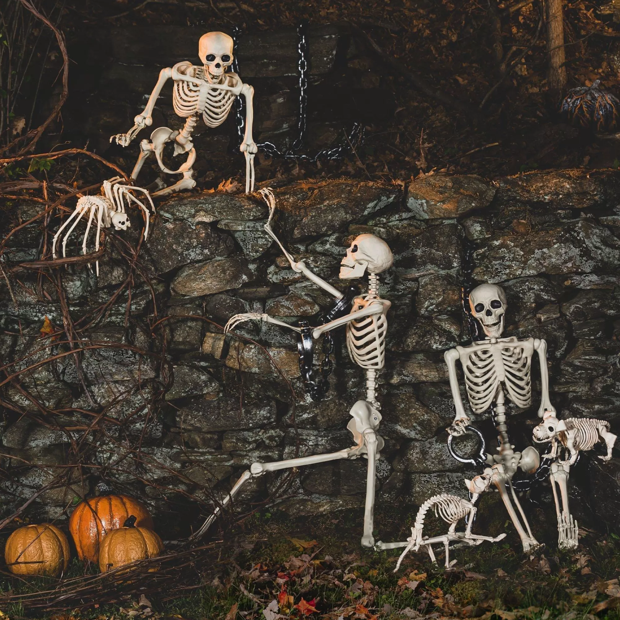 Party City Boneyard Glam | Life-Size Poseable Skeleton, 5Ft - Halloween Decoration