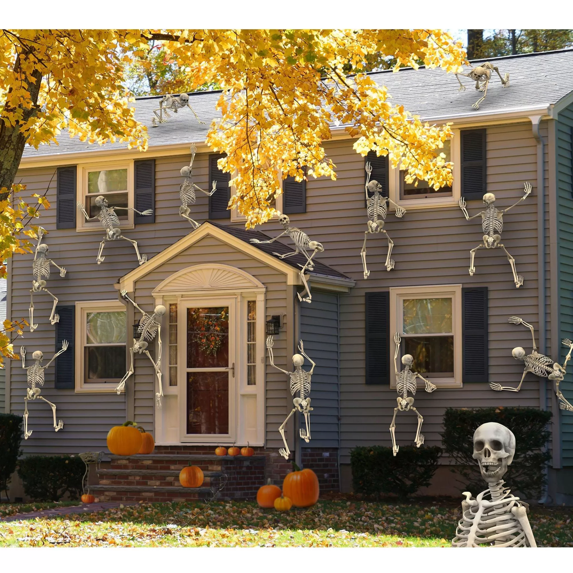 Party City Boneyard Glam | Life-Size Poseable Skeleton, 5Ft - Halloween Decoration