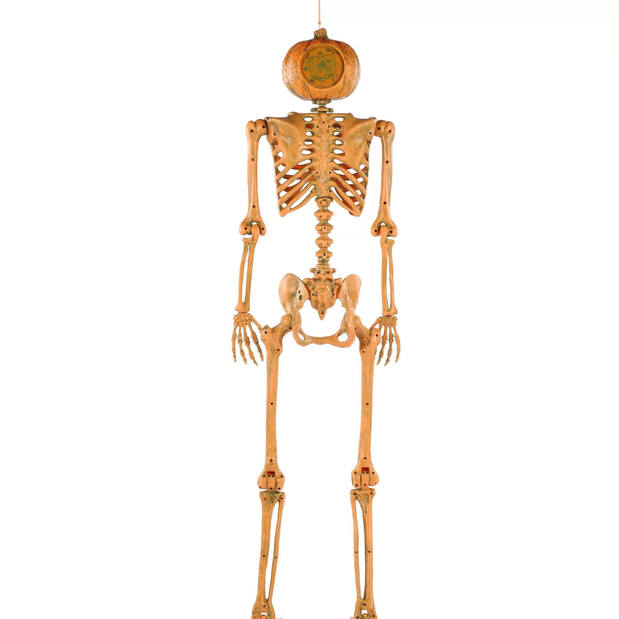 Party City Hanging Decorations | Light-Up Midnight Pumpkin Led Plastic Skeleton, 5Ft