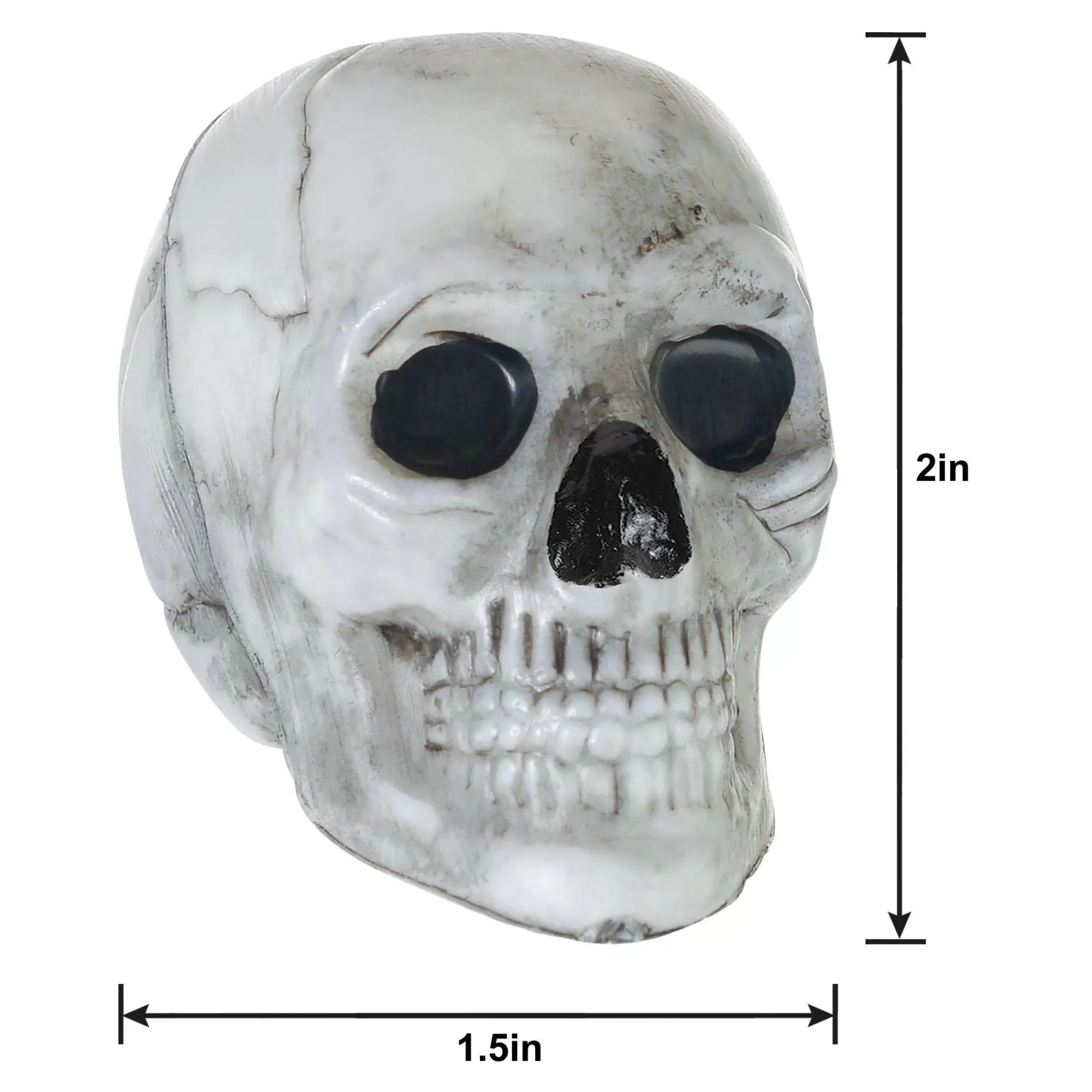 Party City Skeletons | Mini Plastic Skulls, 1.5In X 2In, 24Ct