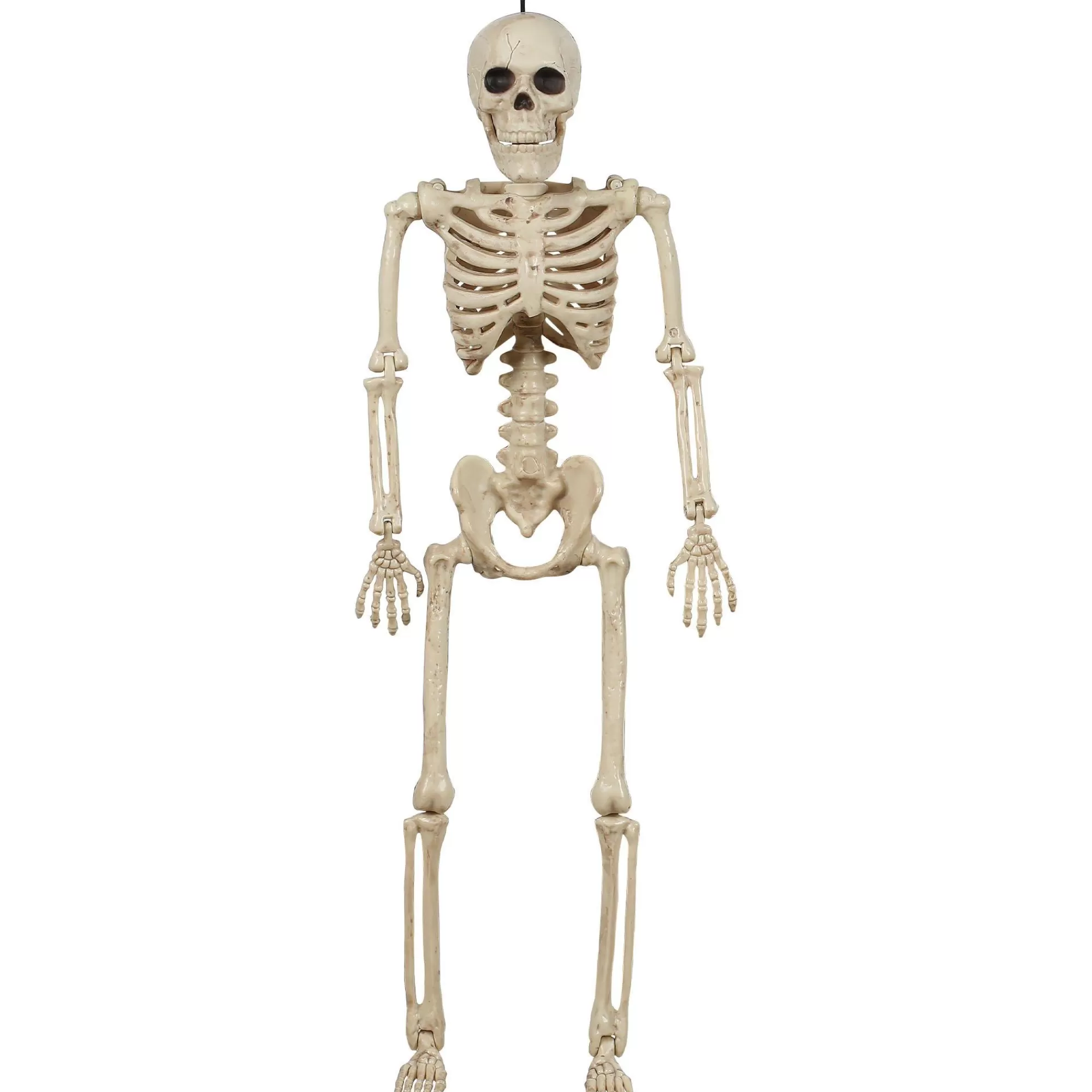 Party City Boneyard Glam | Miniature Realistic Hanging Skeleton, 16In