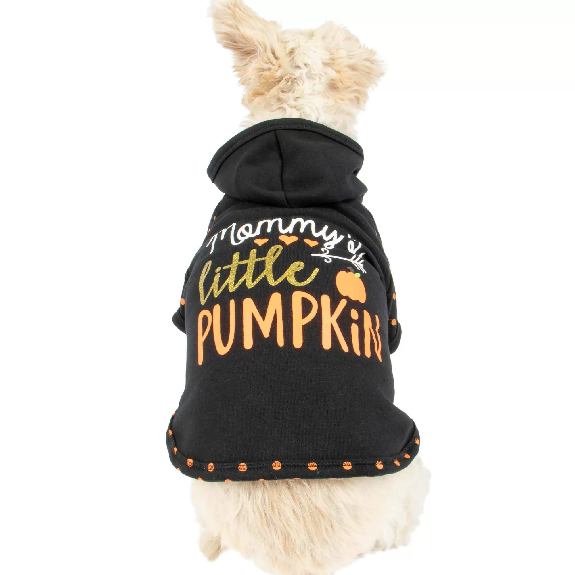 Party City Dog & Pet Costumes-Mommy's Little Pumpkin Dog Hoodie