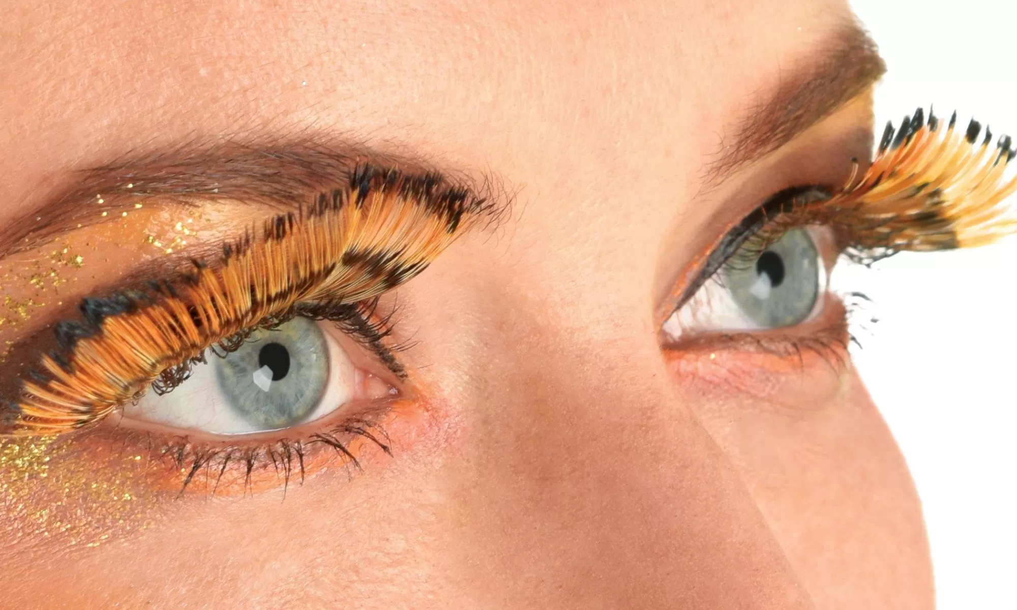 Party City Makeup-Monarch Feather Eyelashes