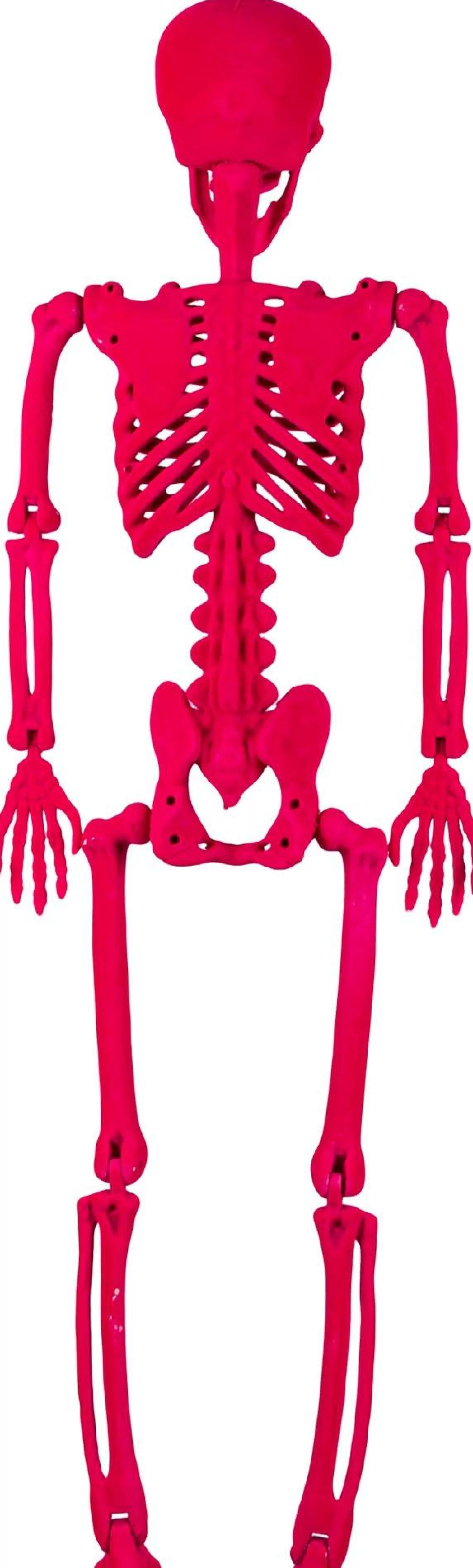 Party City Boneyard Glam | Neon Pink Black Light Reactive Flocked Skeleton Hanging Decoration, 36In