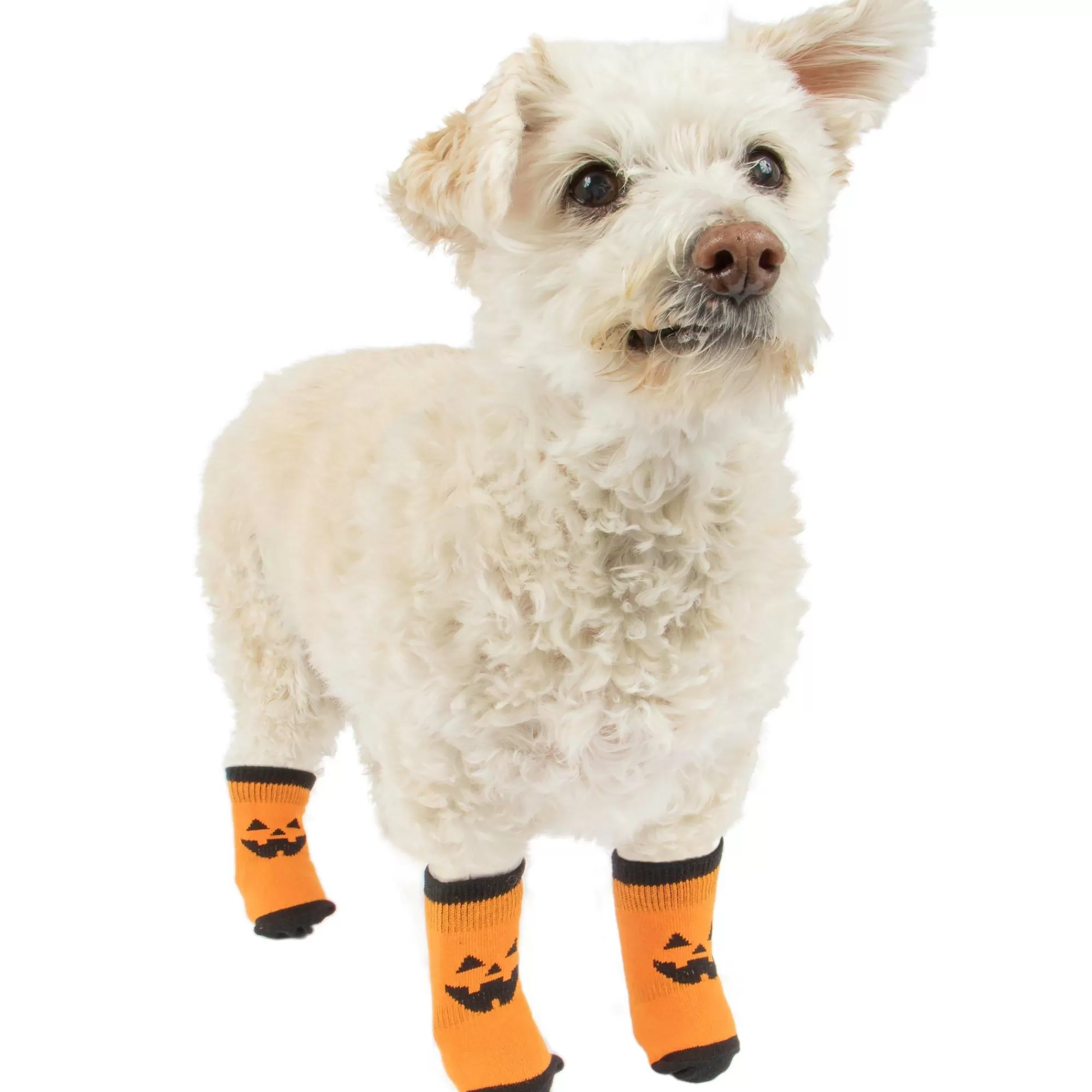 Party City Dog & Pet Costumes-Orange & Black Jack-O'-Lantern Anti-Slip Dog Socks