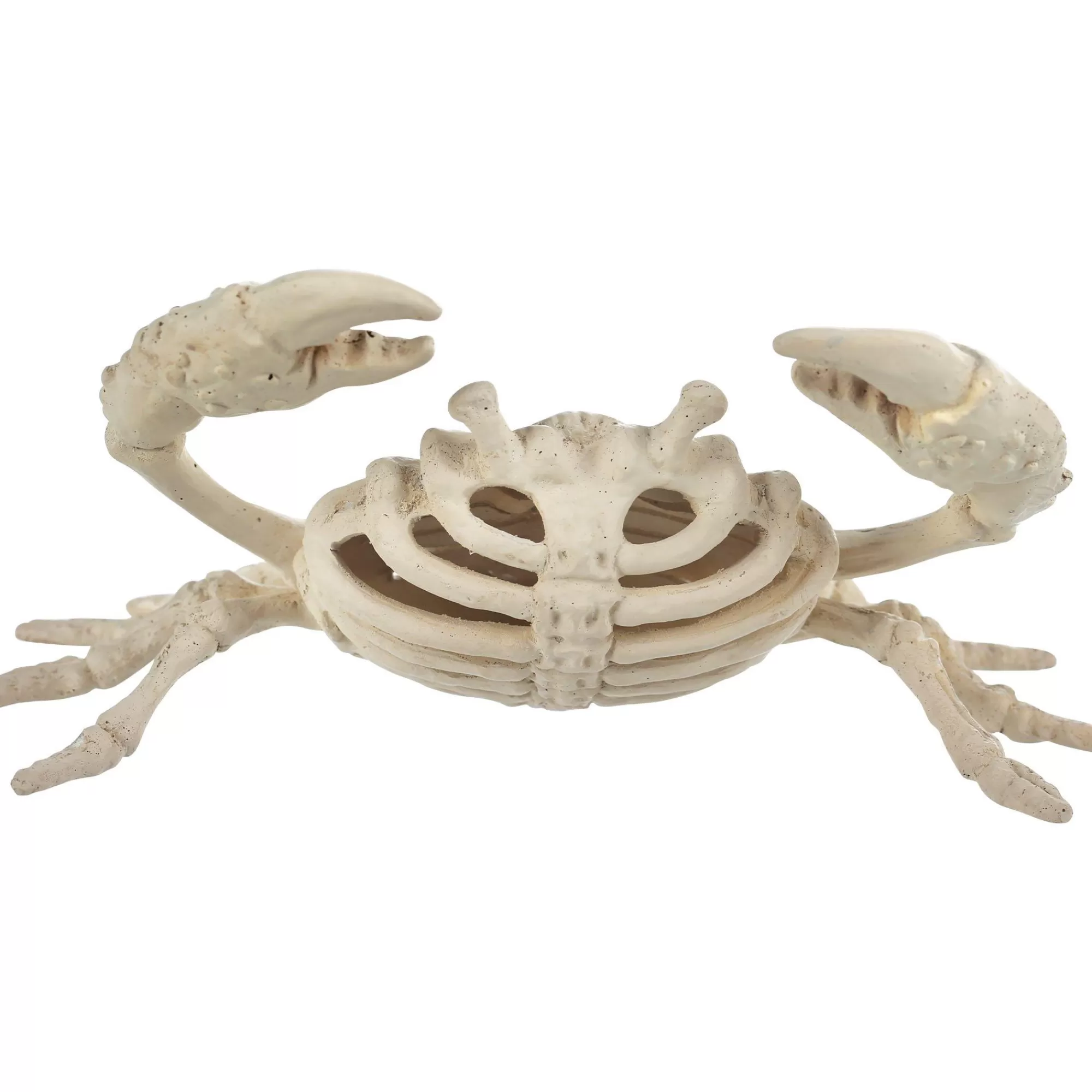 Party City Creatures | Plastic Crab Skeleton, 3.5In X 5.75In