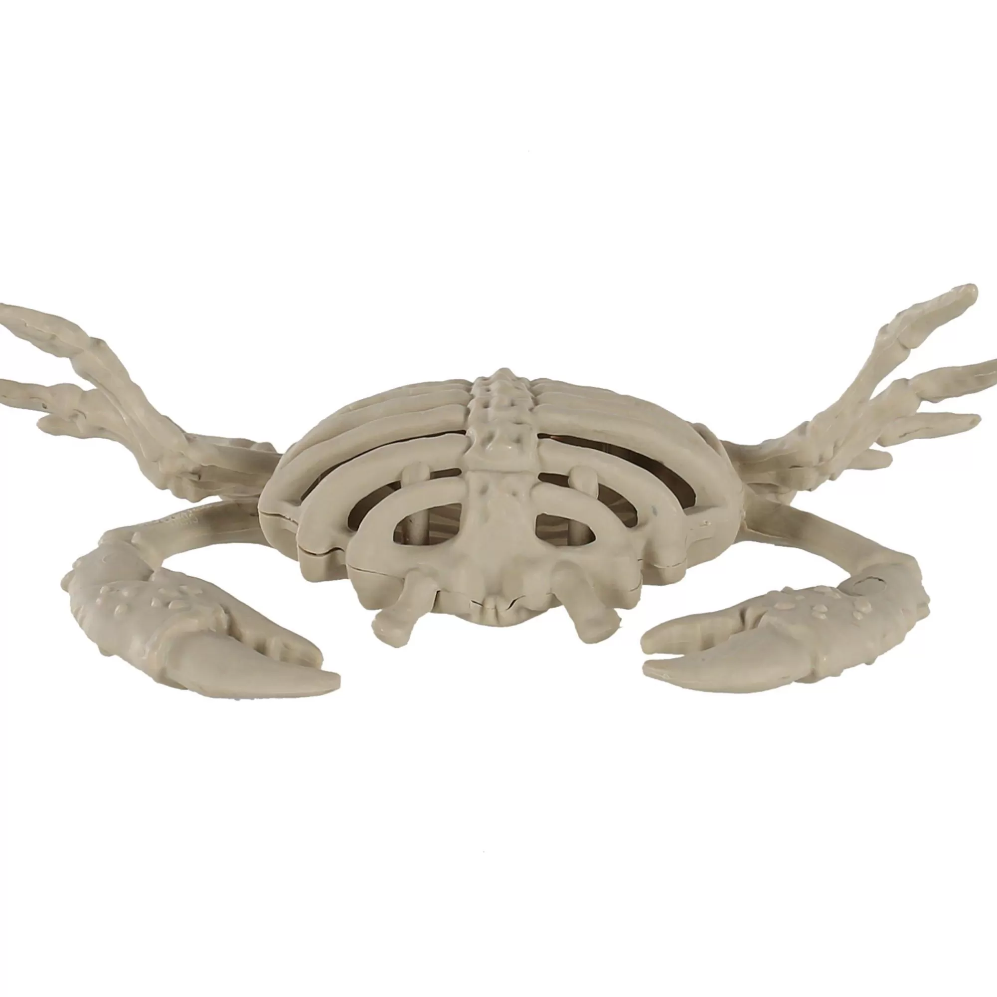 Party City Creatures | Plastic Crab Skeleton, 3.5In X 5.75In