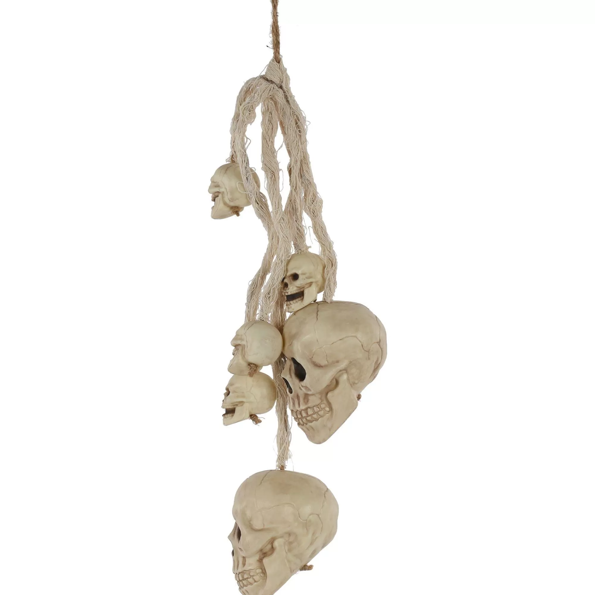 Party City Skeletons | Plastic Hanging Skulls, 19In