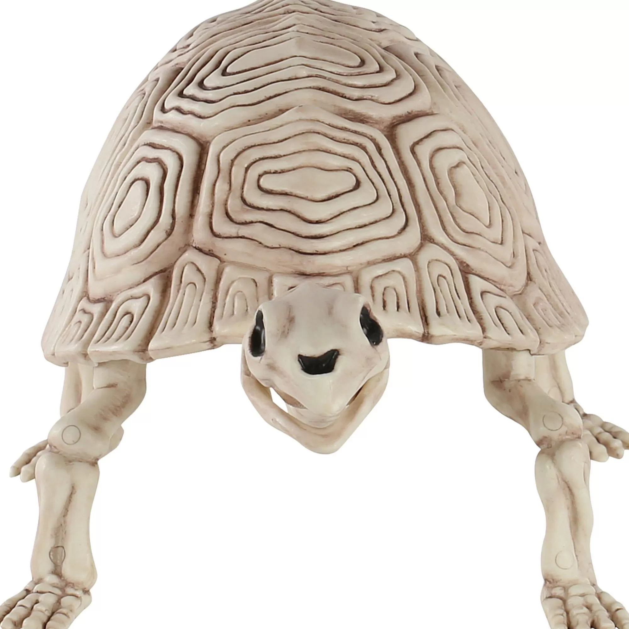 Party City Skeletons | Plastic Turtle Skeleton, 7In X 14In