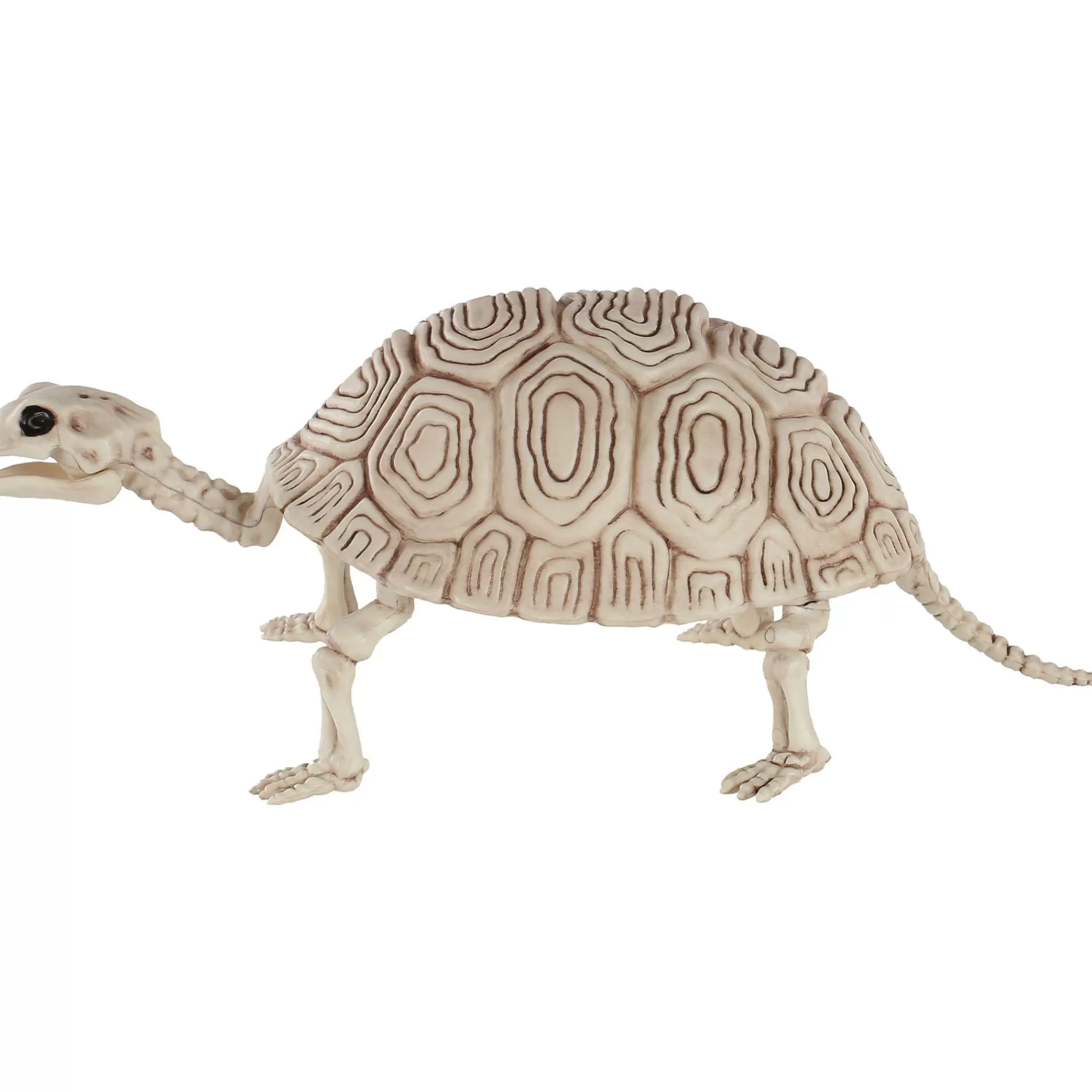 Party City Skeletons | Plastic Turtle Skeleton, 7In X 14In