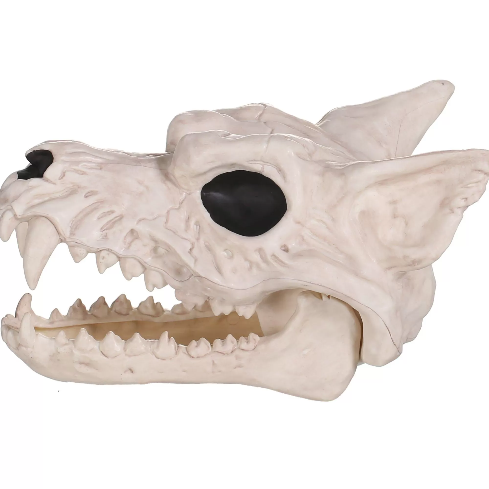 Party City Skeletons | Plastic Werewolf Skull, 6.75In X 10.25In