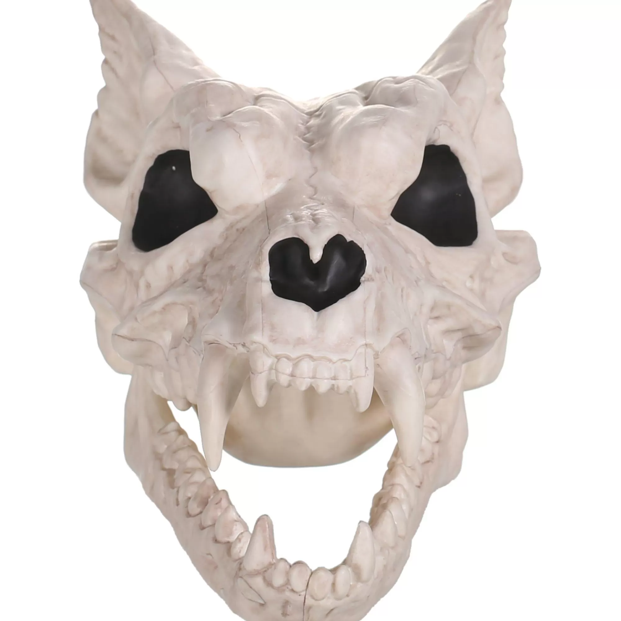 Party City Skeletons | Plastic Werewolf Skull, 6.75In X 10.25In