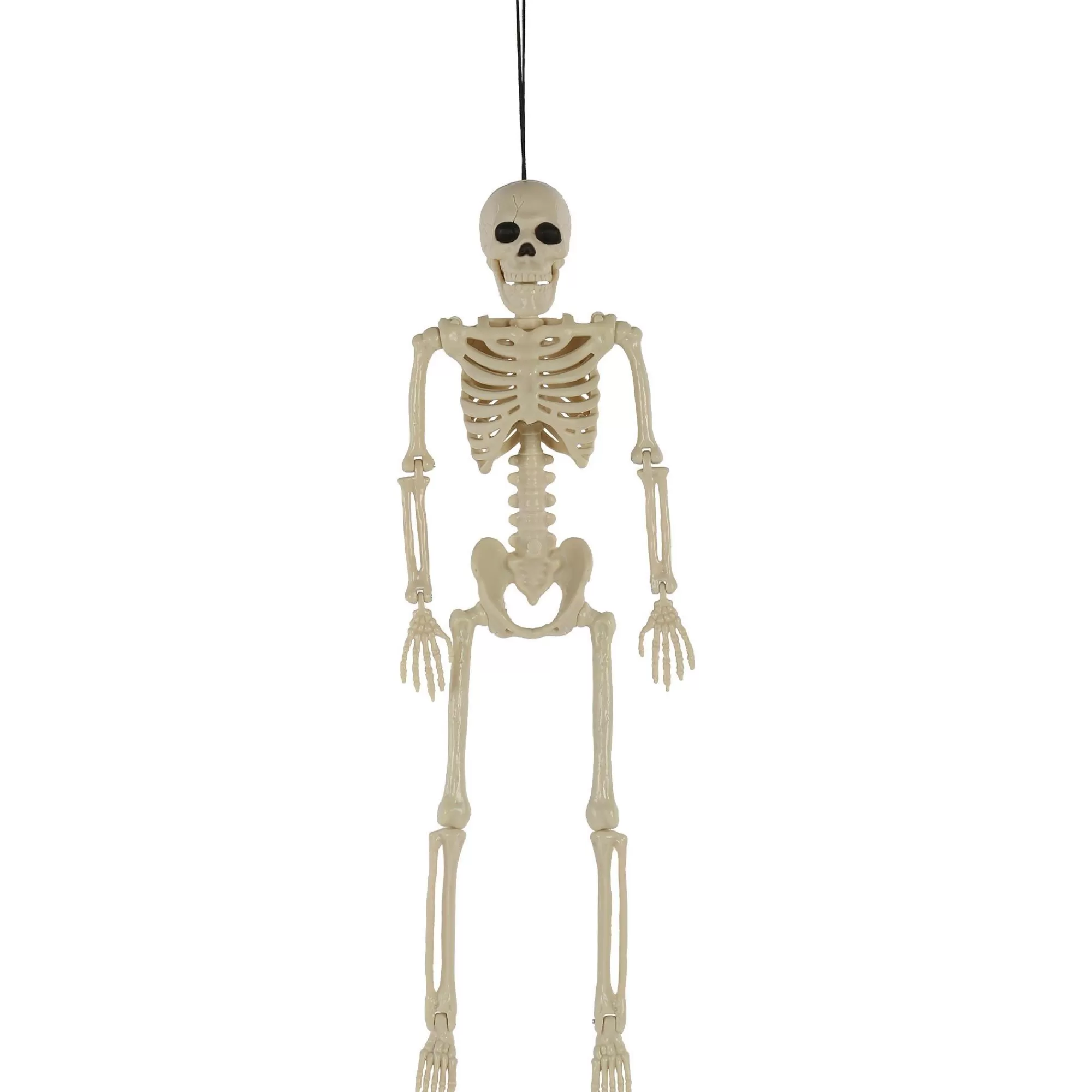 Party City Skeletons | Poseable Plastic Hanging Skeleton, 15.5In