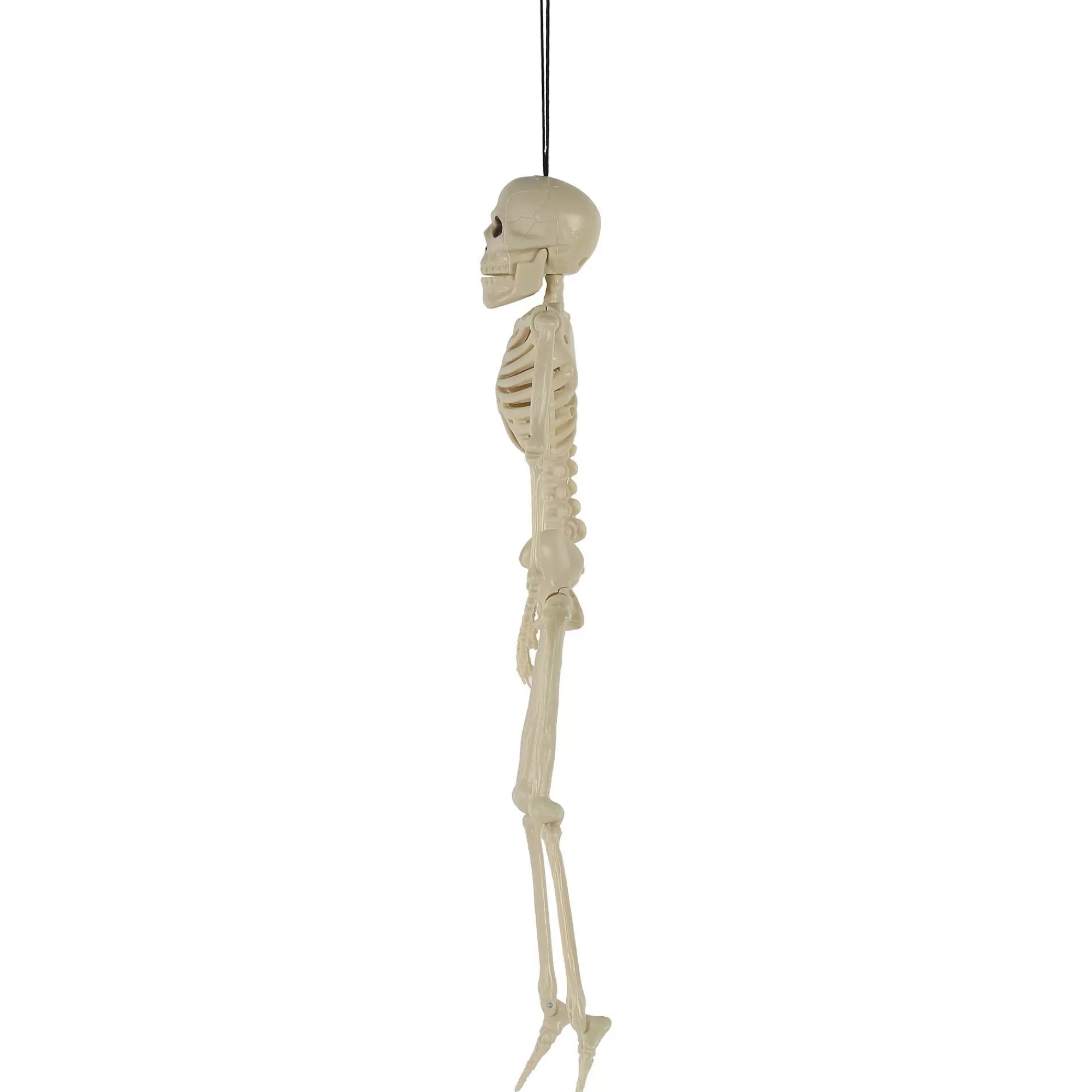 Party City Skeletons | Poseable Plastic Hanging Skeleton, 15.5In