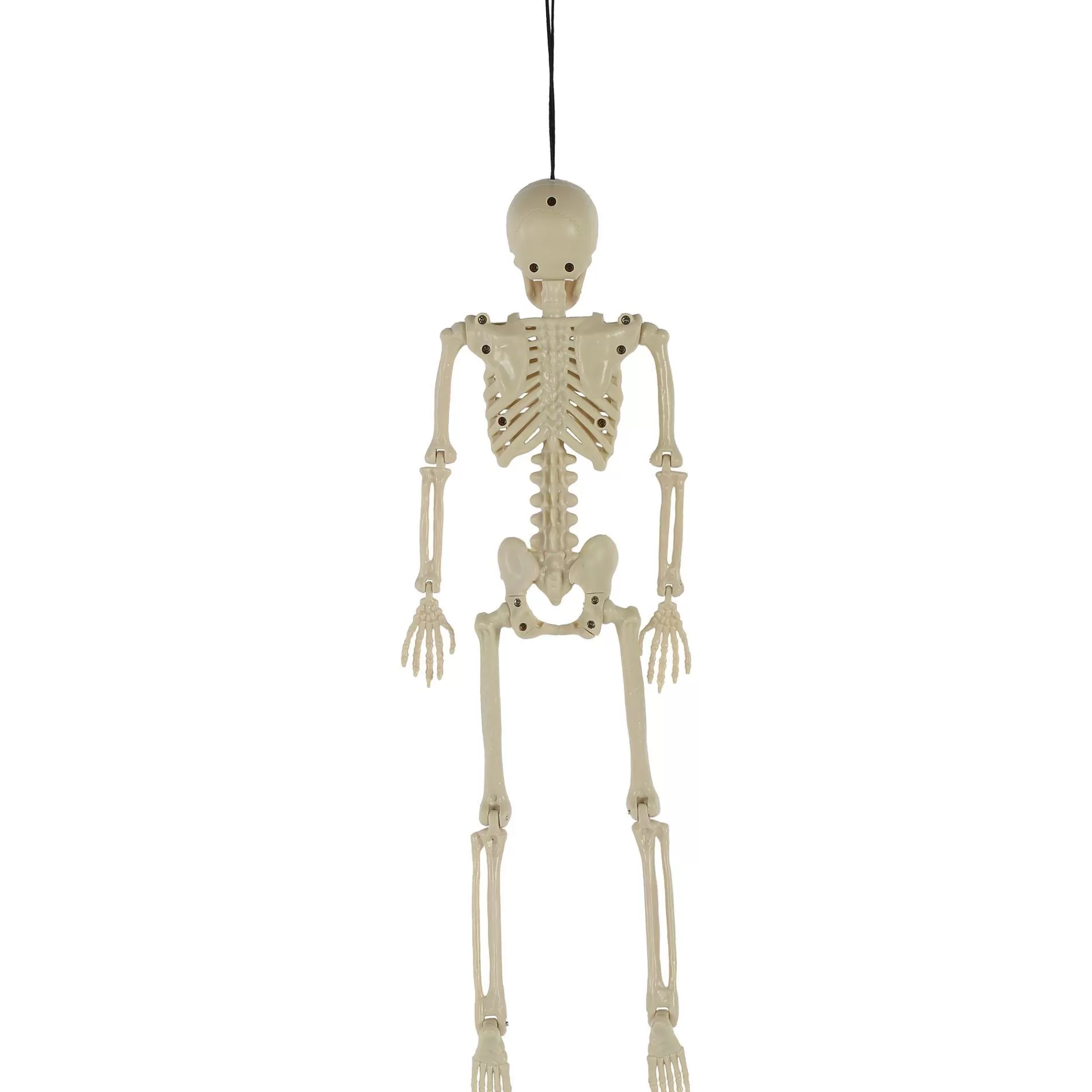 Party City Hanging Decorations | Poseable Plastic Hanging Skeleton, 15.5In