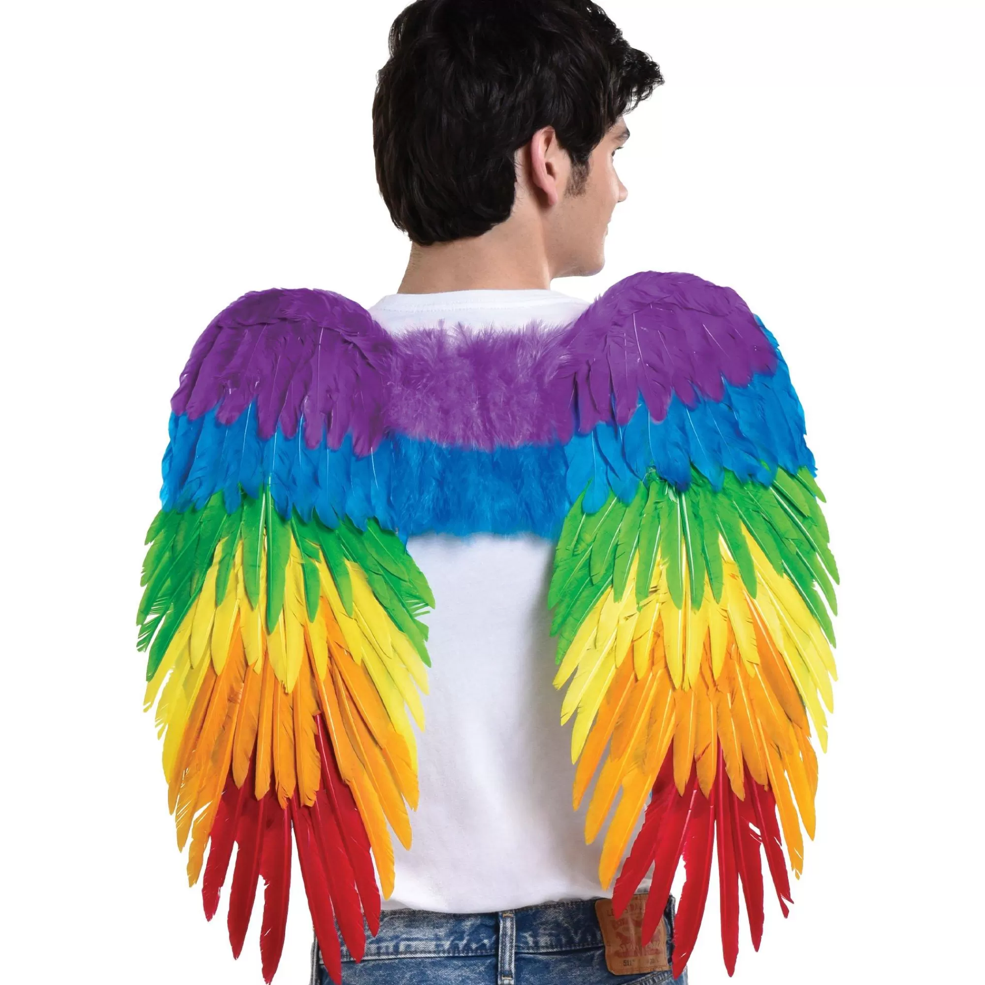 Party City Wings-Rainbow Feather Wings, 15In