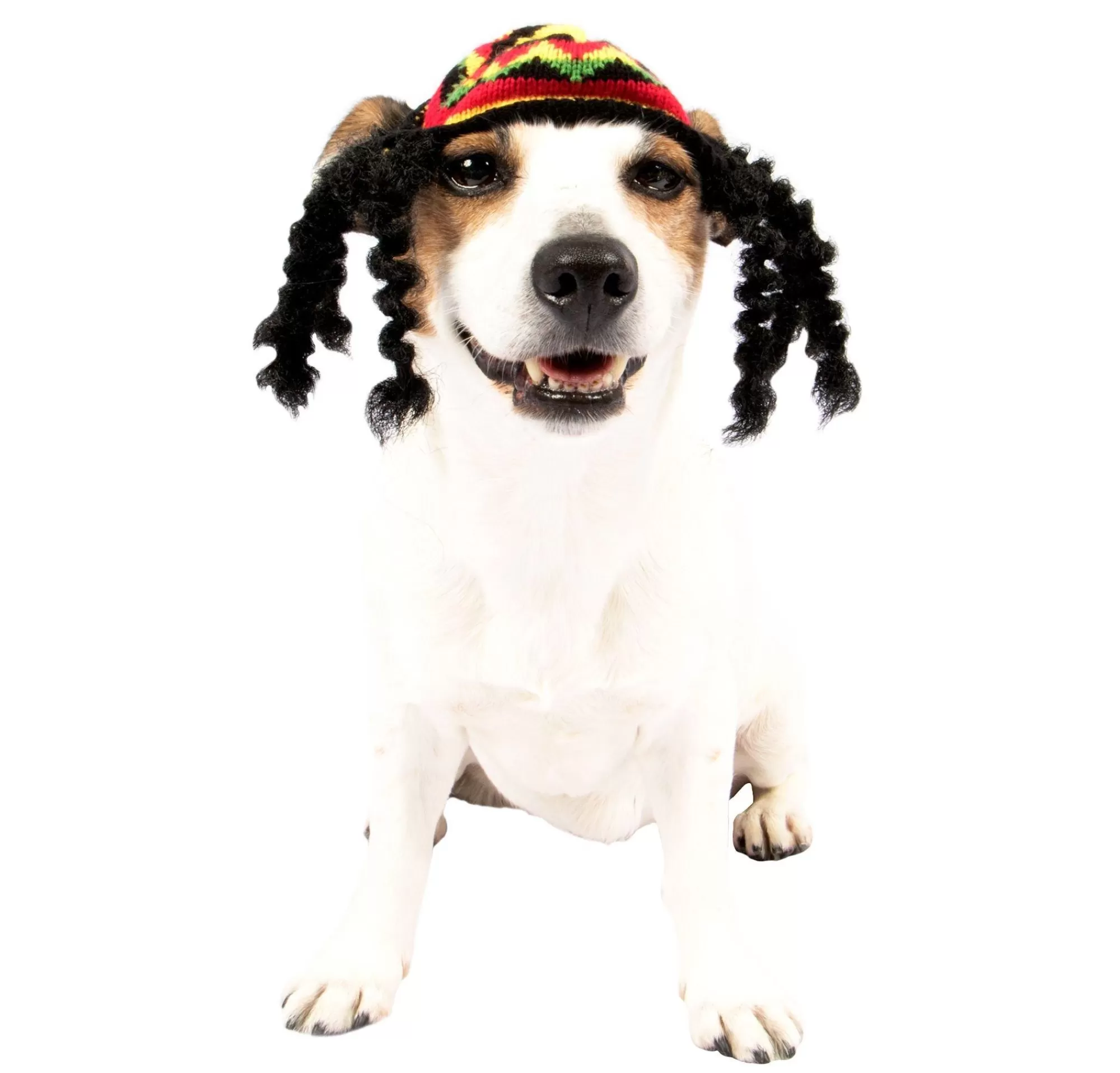 Party City Dog & Pet Costumes-Rasta Dog Costume